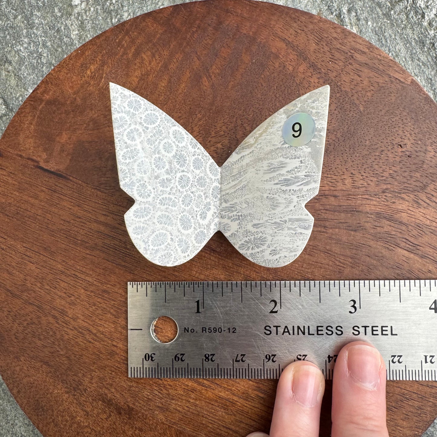 Fossil Coral Butterfly - Opt. 9