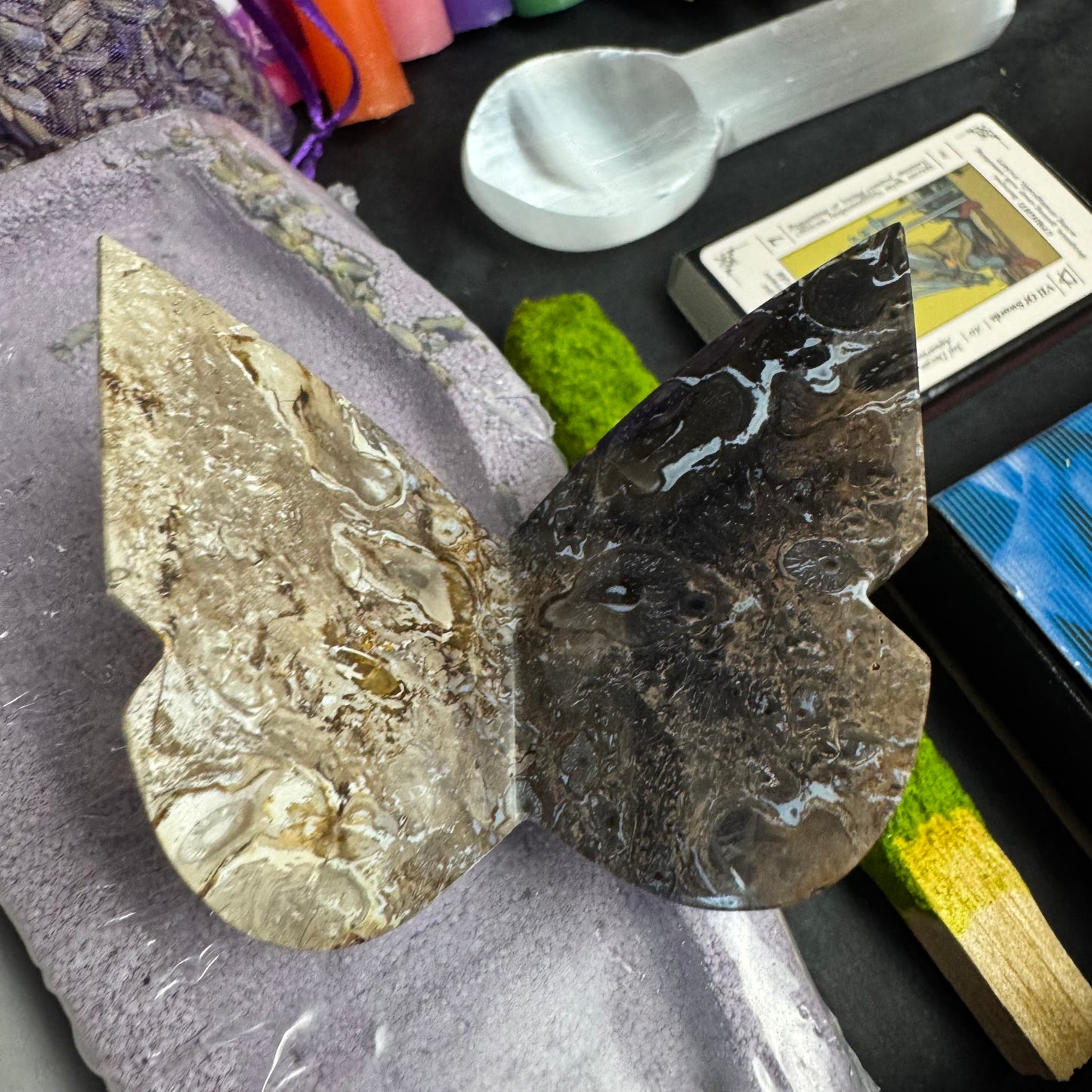 Carved Butterfly Fossil Romantasy Gift Set