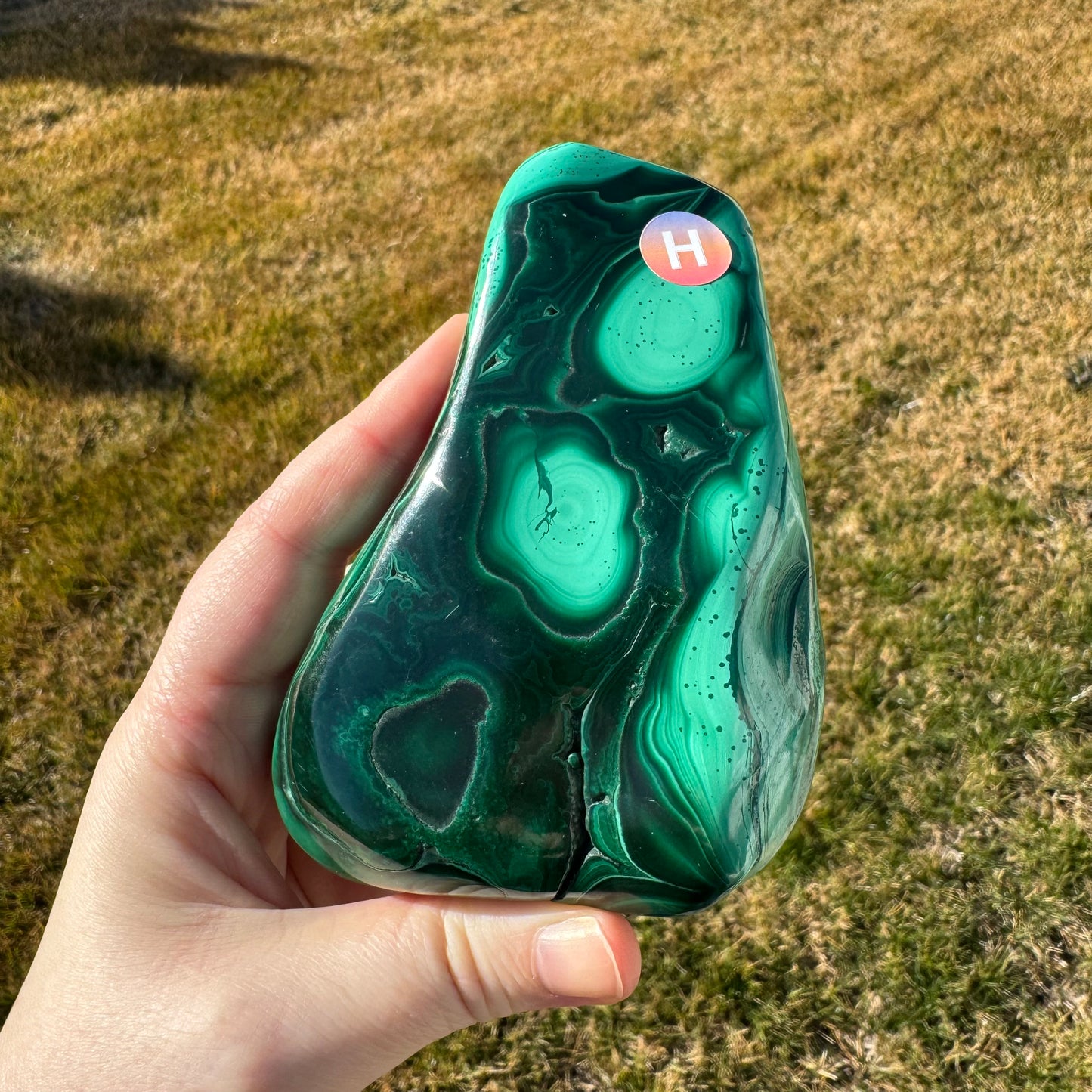 Malachite Free Form Statement Piece Gift Set - Opt. H