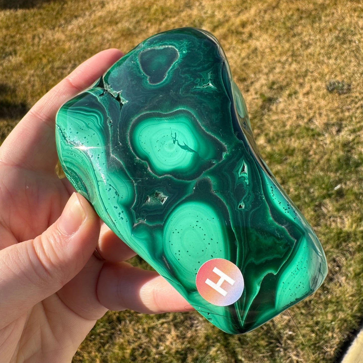 Malachite Free Form Statement Piece Gift Set - Opt. H