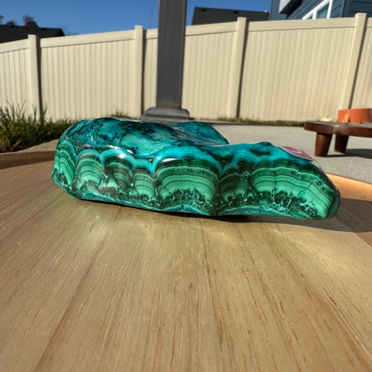 Malacholla Free Form Statement Piece Gift Set - Opt. I