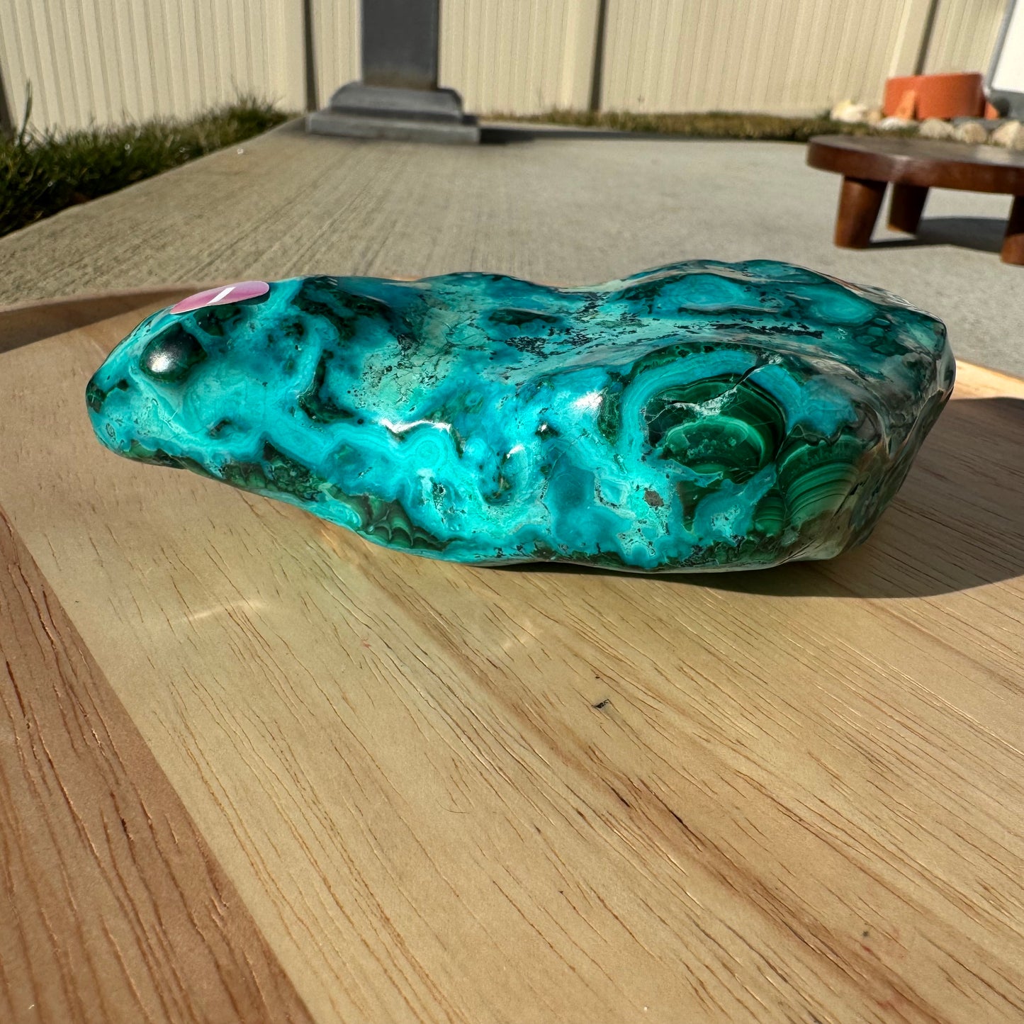 Malacholla Free Form Statement Piece Gift Set - Opt. I
