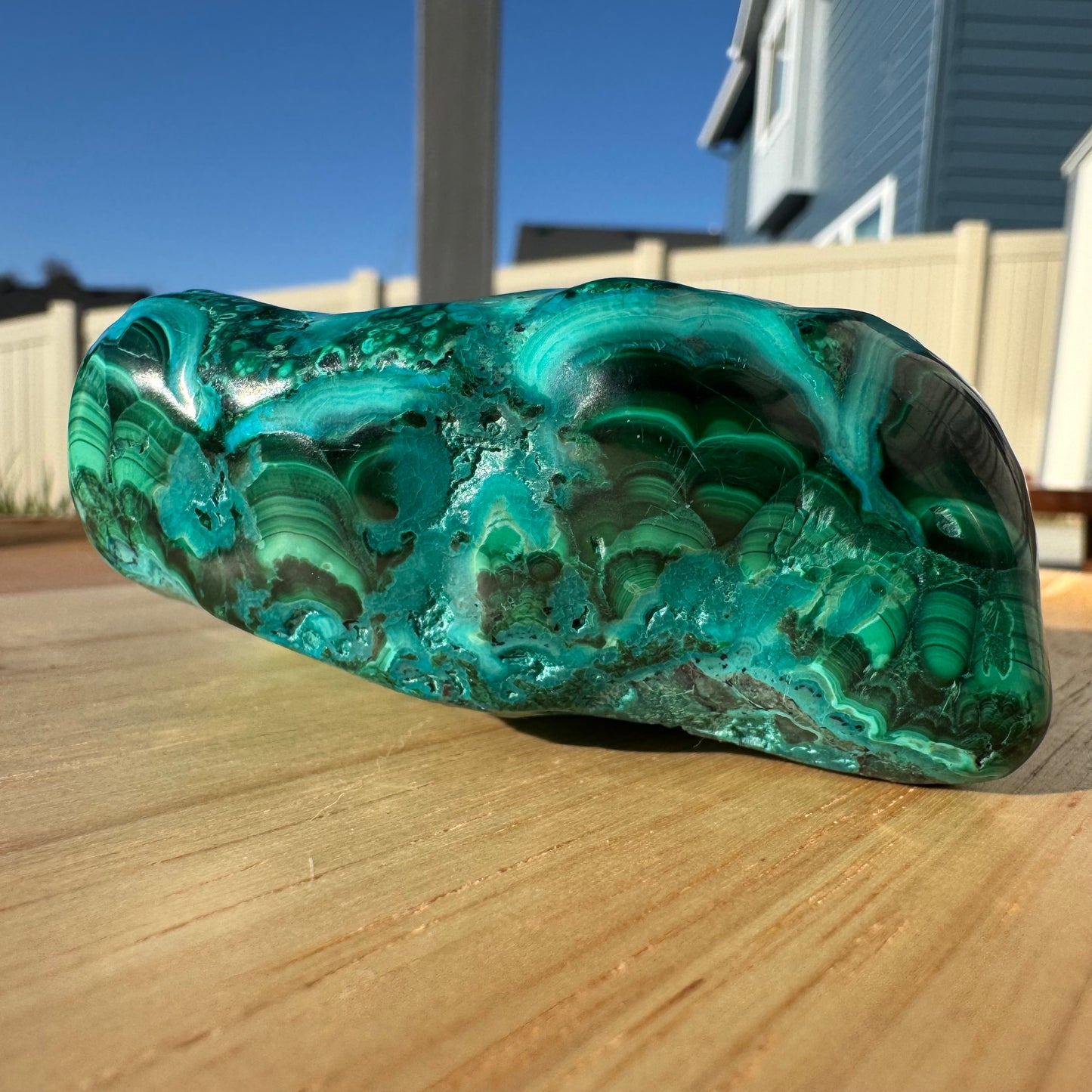 Malacholla Free Form Statement Piece Gift Set - Opt. I