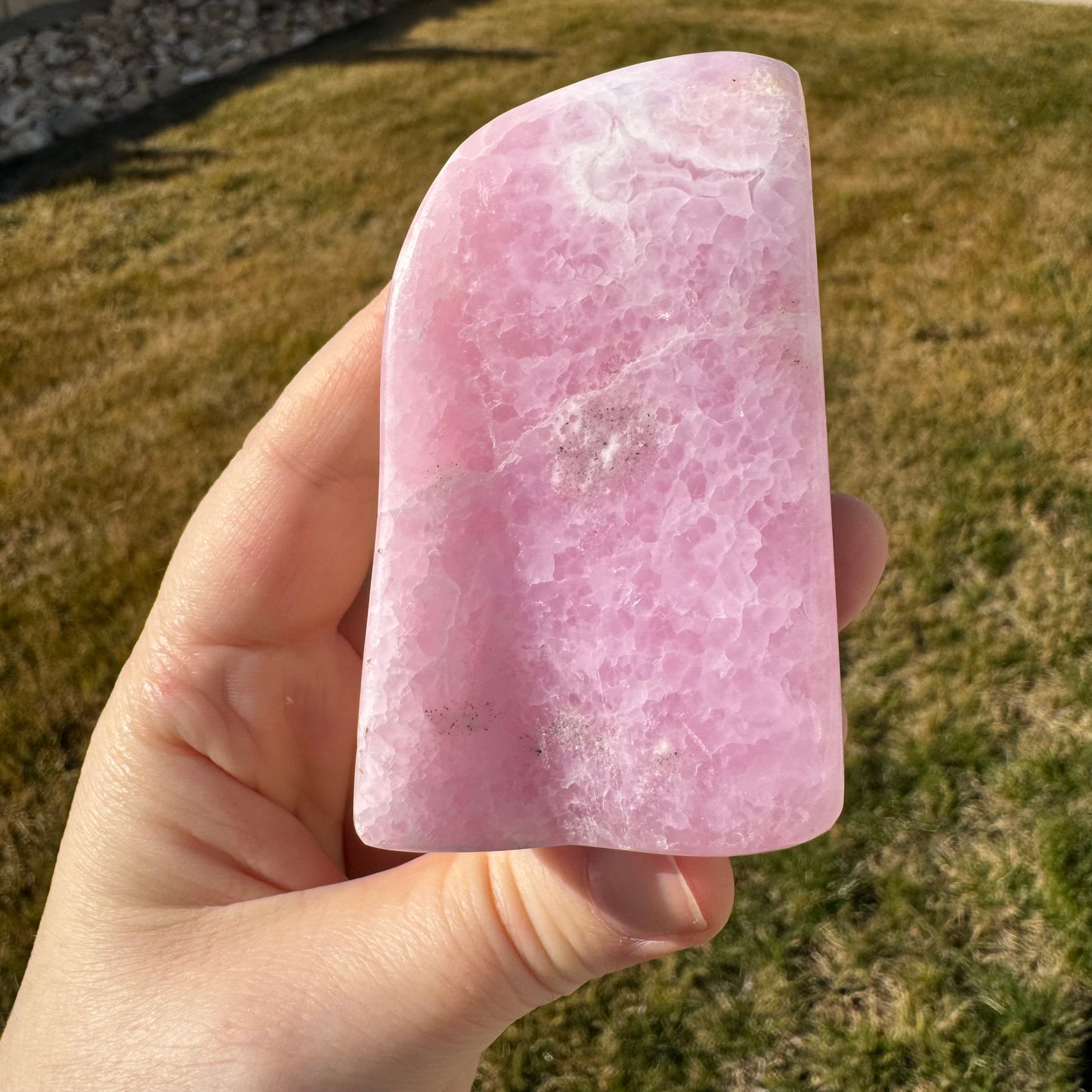Pink Aragonite Free Form *Rare* - Statement Piece Gift Bundle Opt. K