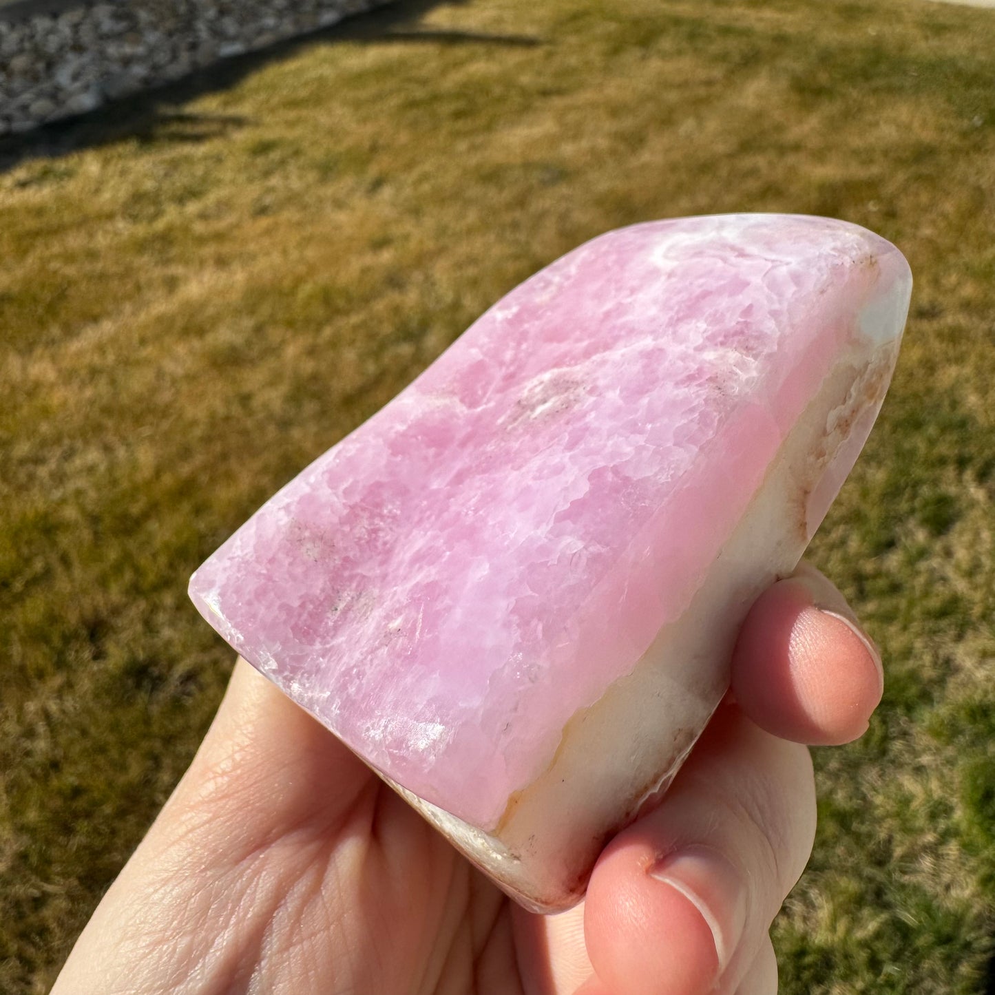 Pink Aragonite Free Form *Rare* - Statement Piece Gift Bundle Opt. K
