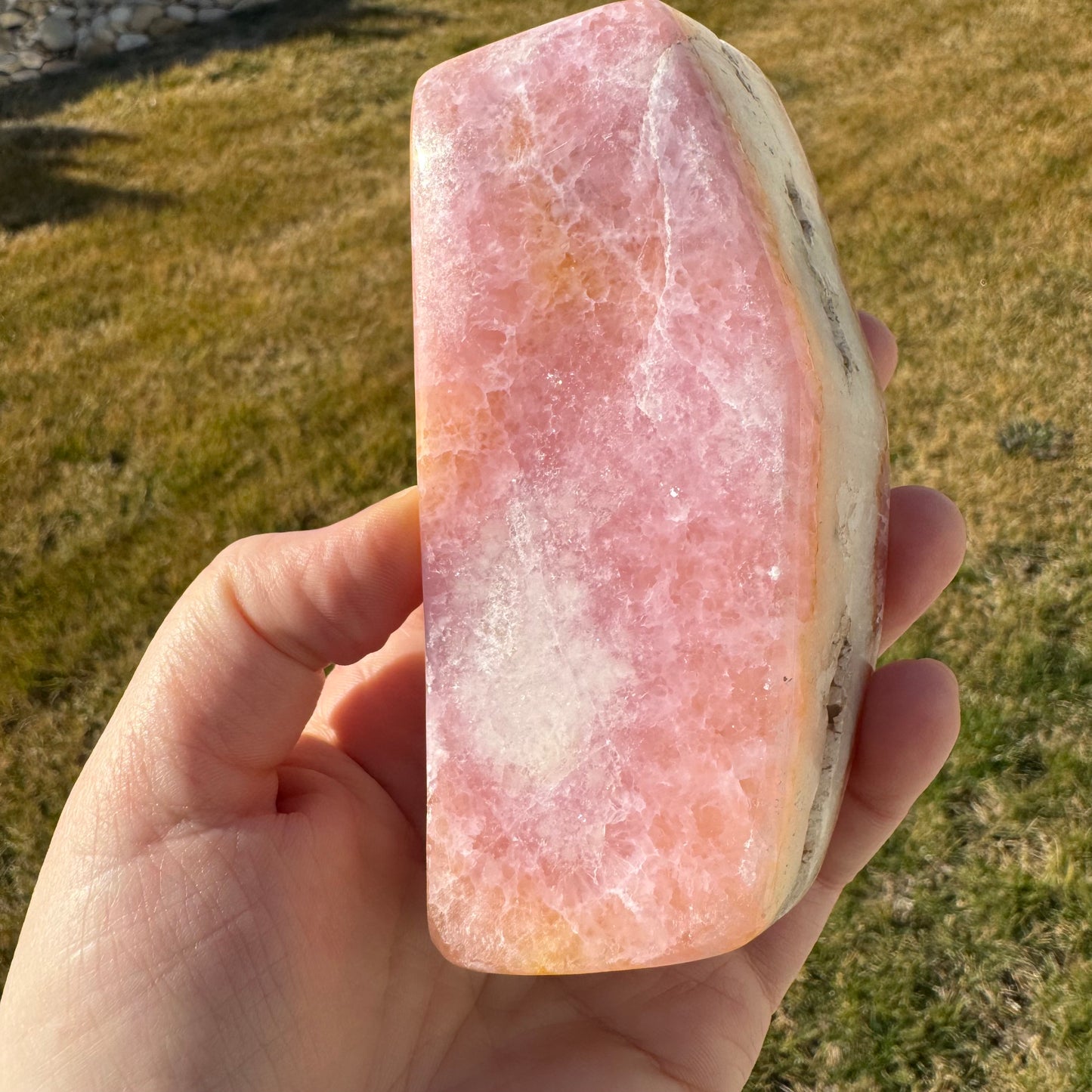 Pink Aragonite Free Form *Rare* - Statement Piece Gift Set Opt. M