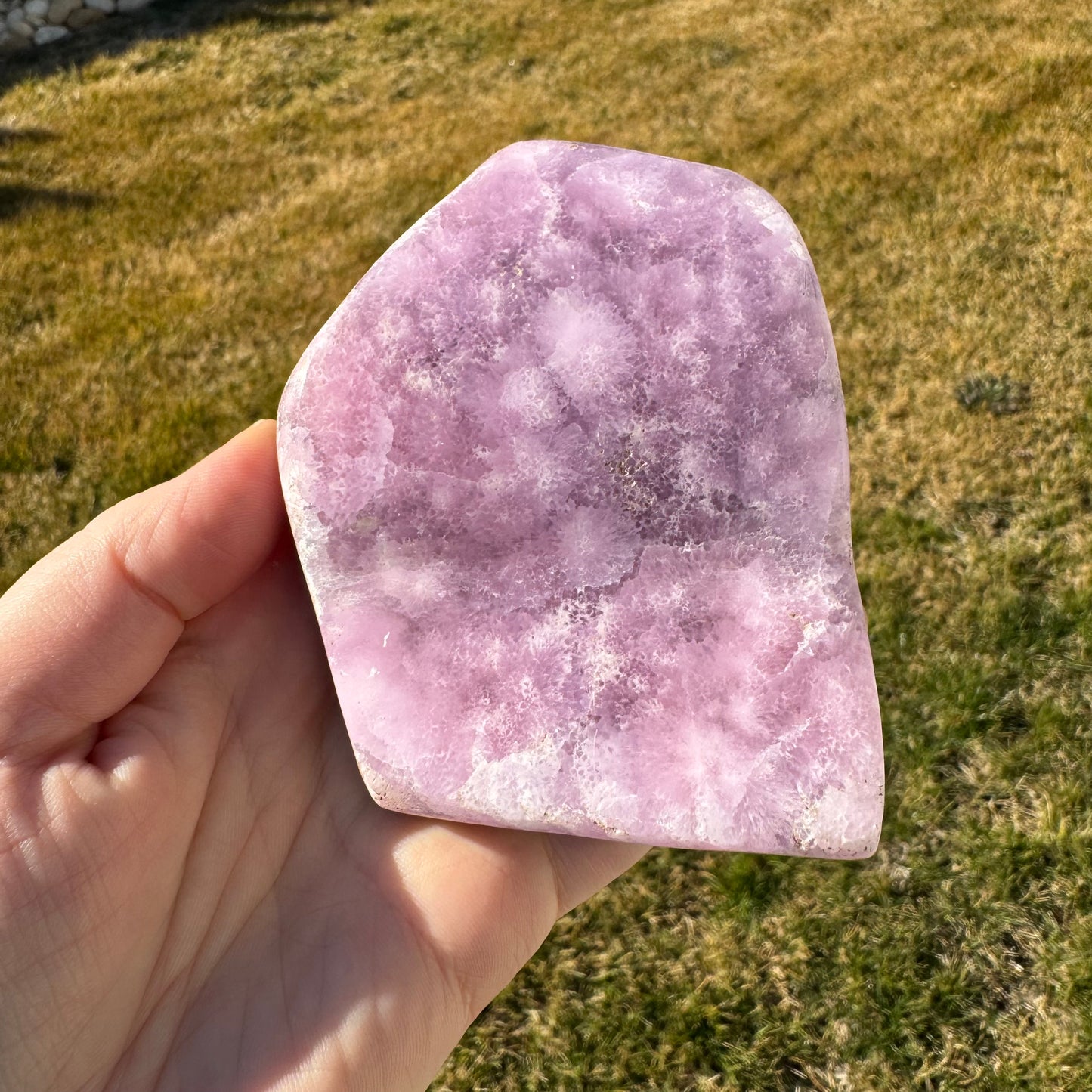 Pink Aragonite Free Form *Rare* - Statement Piece Gift Set Opt. N