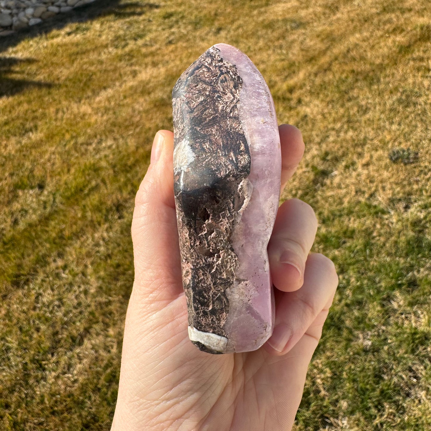 Pink Aragonite Free Form *Rare* - Statement Piece Gift Set Opt. N