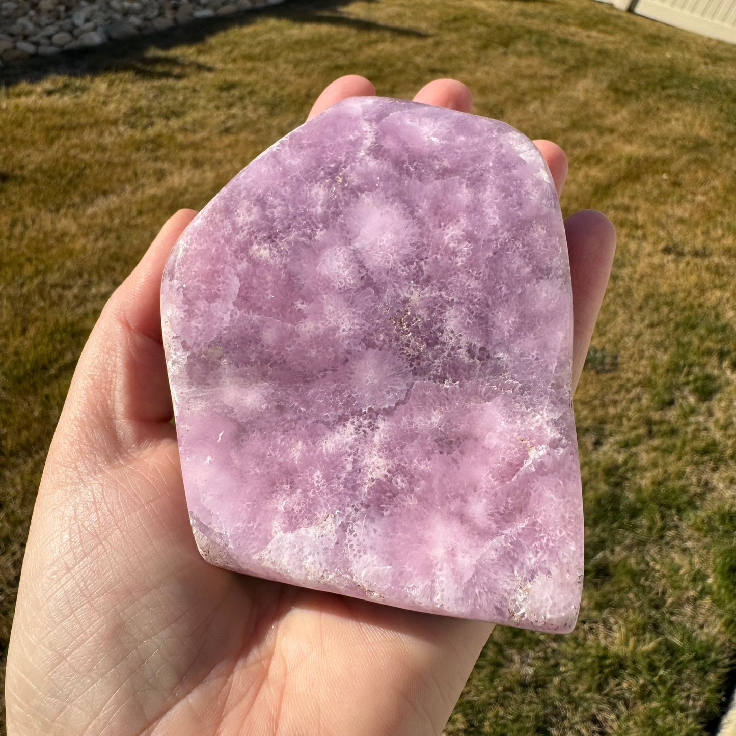 Pink Aragonite Free Form *Rare* - Statement Piece Gift Set Opt. N
