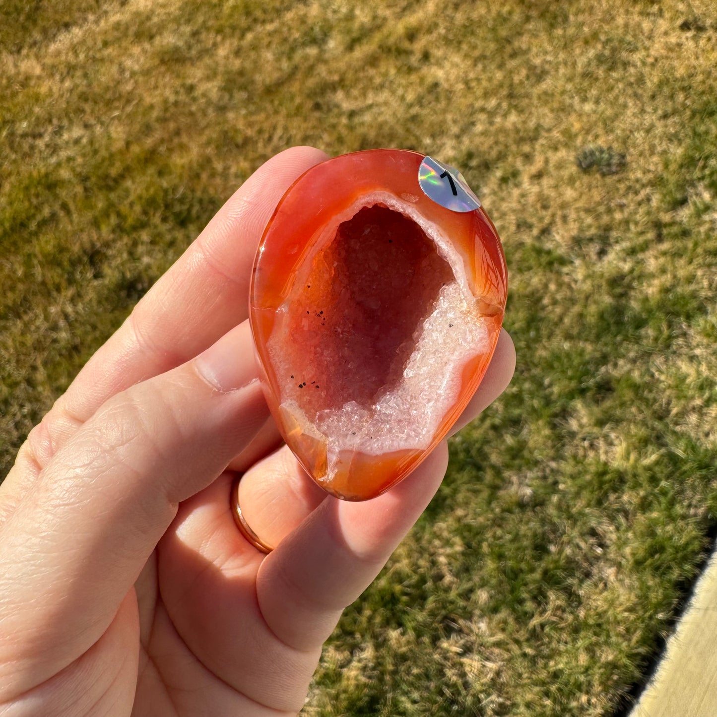 Druzy Banded Carnelian Egg Care Package - Opt. 1
