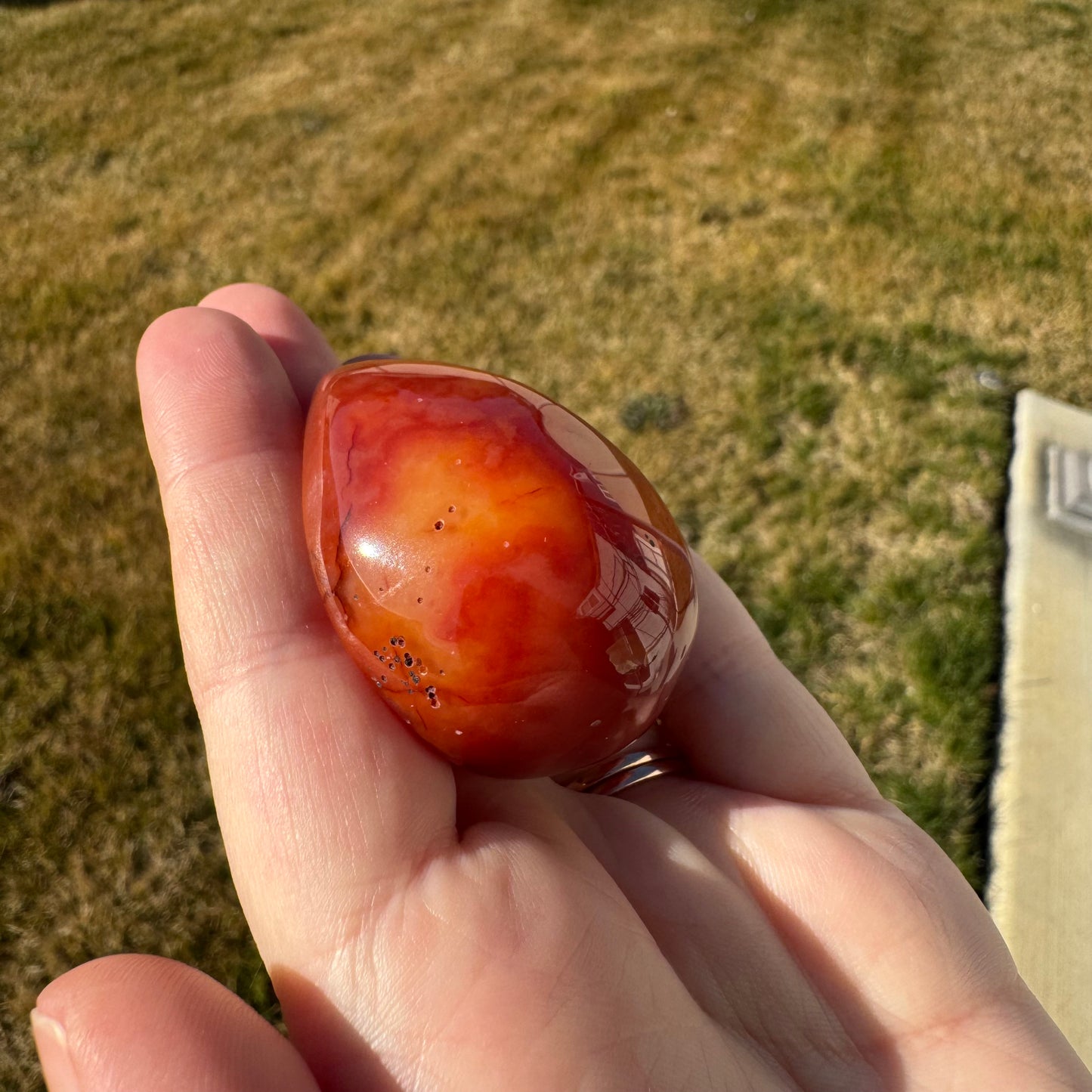 Druzy Banded Carnelian Egg Care Package - Opt. 1