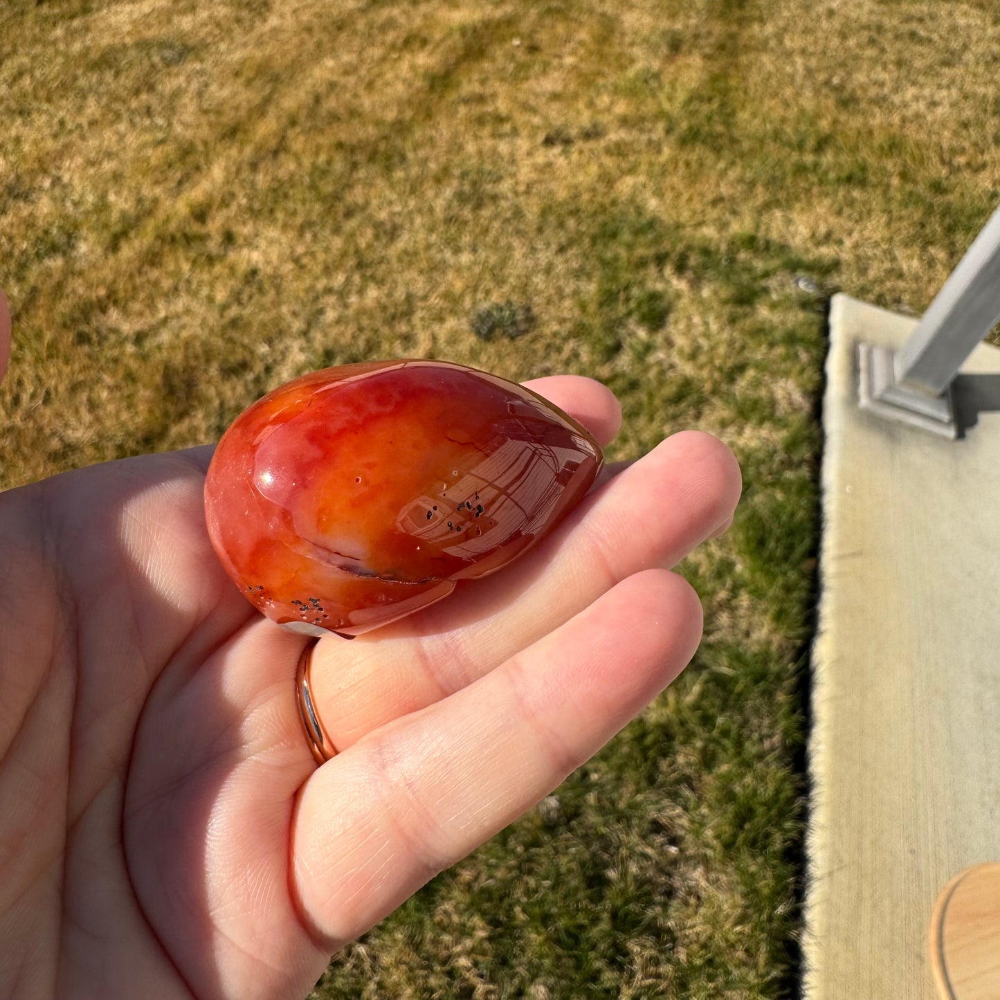 Druzy Banded Carnelian Egg Care Package - Opt. 1