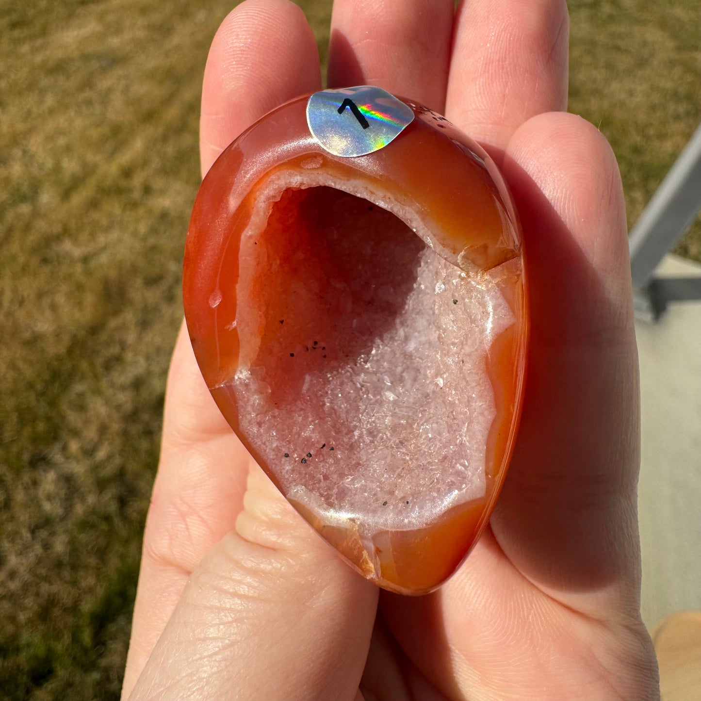 Druzy Banded Carnelian Egg Care Package - Opt. 1