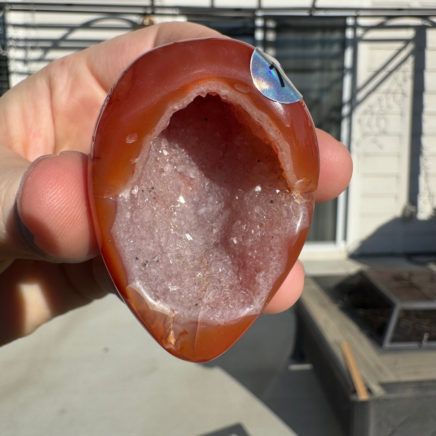 Druzy Banded Carnelian Egg Care Package - Opt. 1
