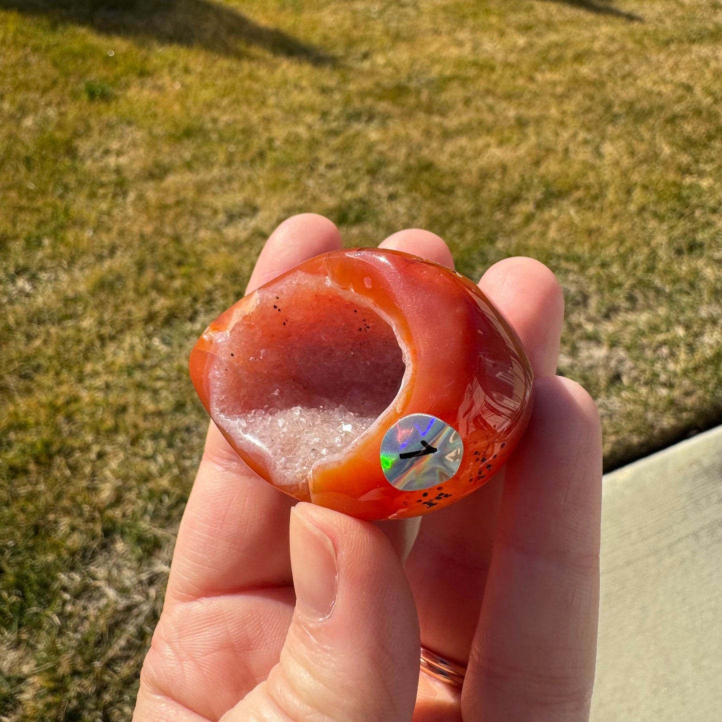 Druzy Banded Carnelian Egg Care Package - Opt. 1