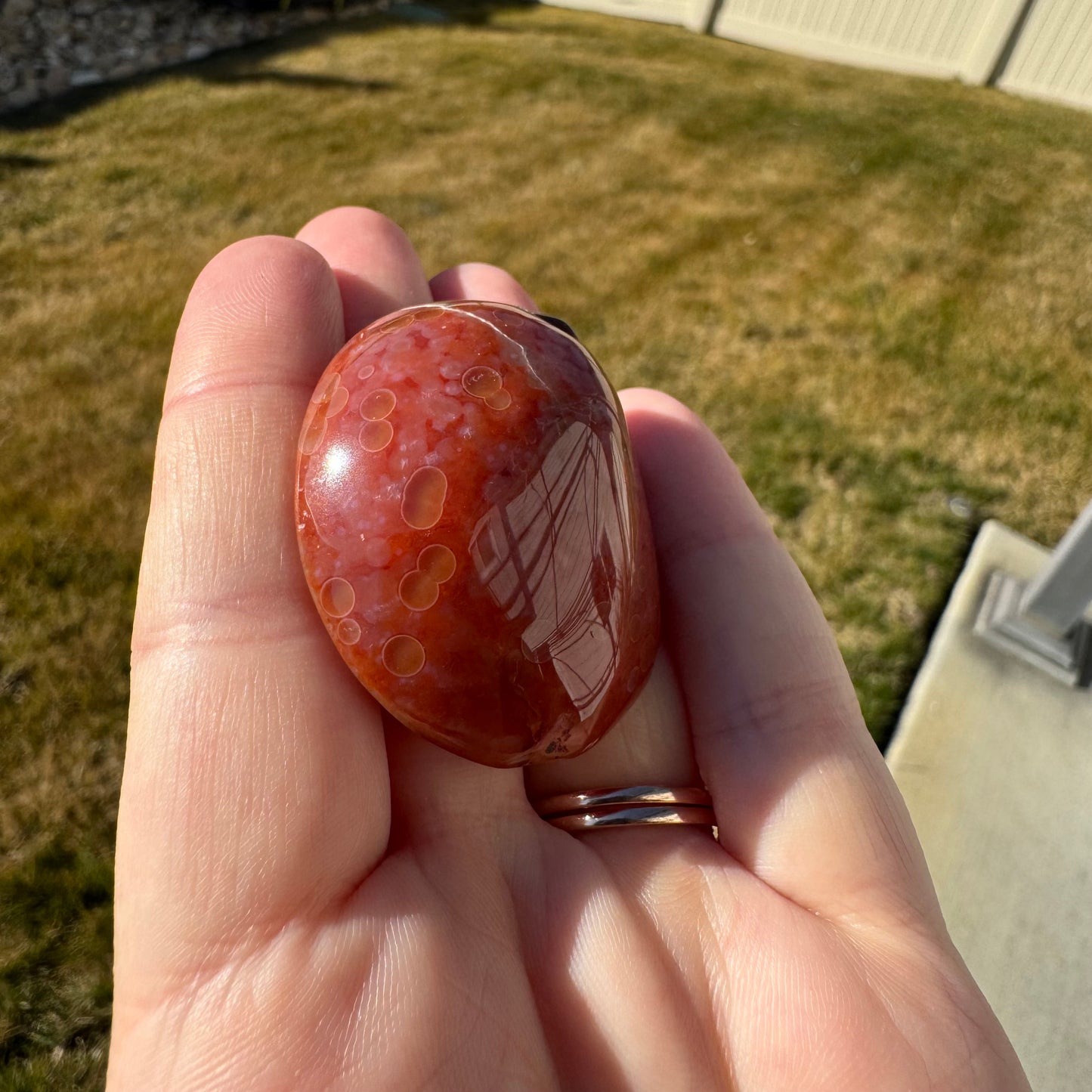 Druzy Banded Carnelian Egg Care Package - Opt. 2