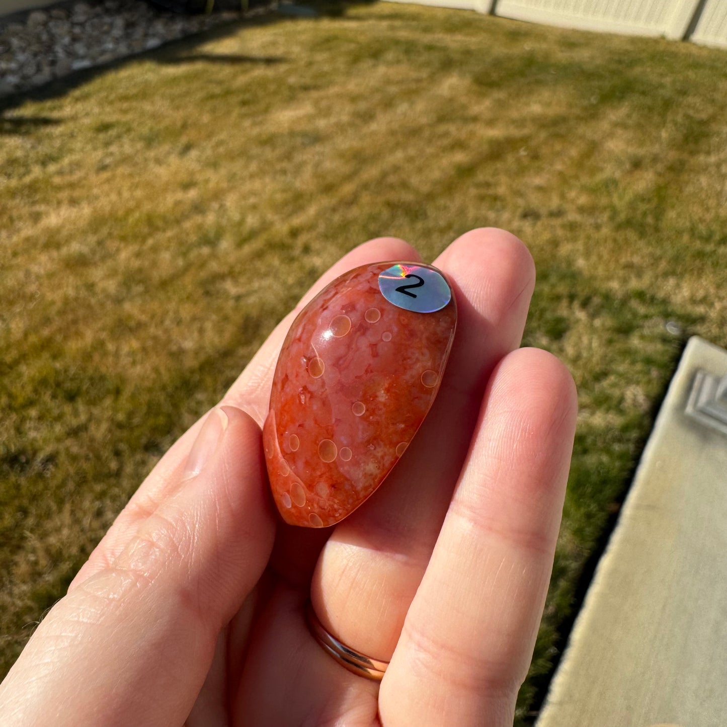 Druzy Banded Carnelian Egg Care Package - Opt. 2
