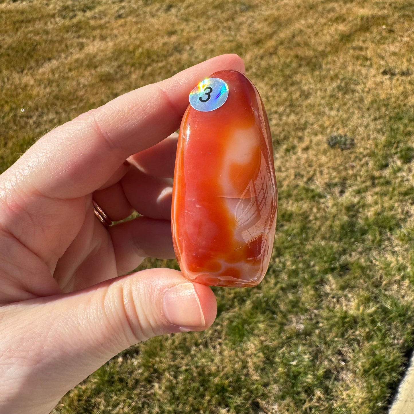 Druzy Banded Carnelian Egg Care Package - Opt. 3