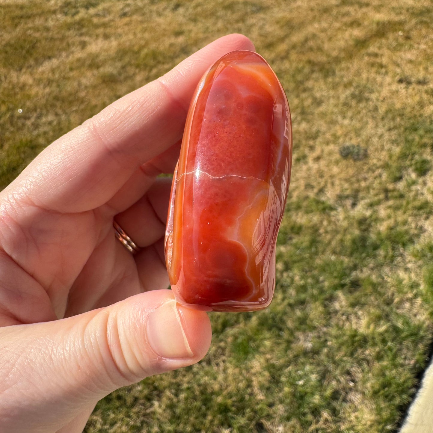 Druzy Banded Carnelian Egg Care Package - Opt. 3