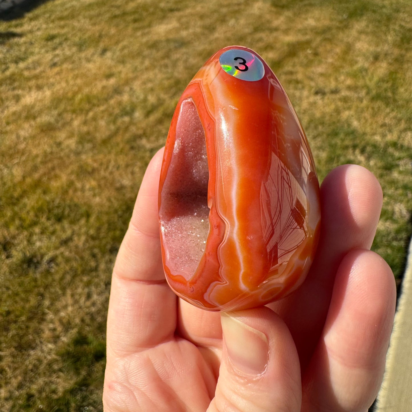 Druzy Banded Carnelian Egg Care Package - Opt. 3