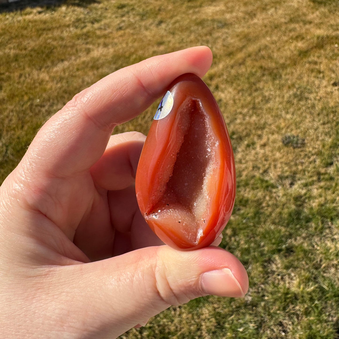 Druzy Banded Carnelian Egg Care Package - Opt. 4