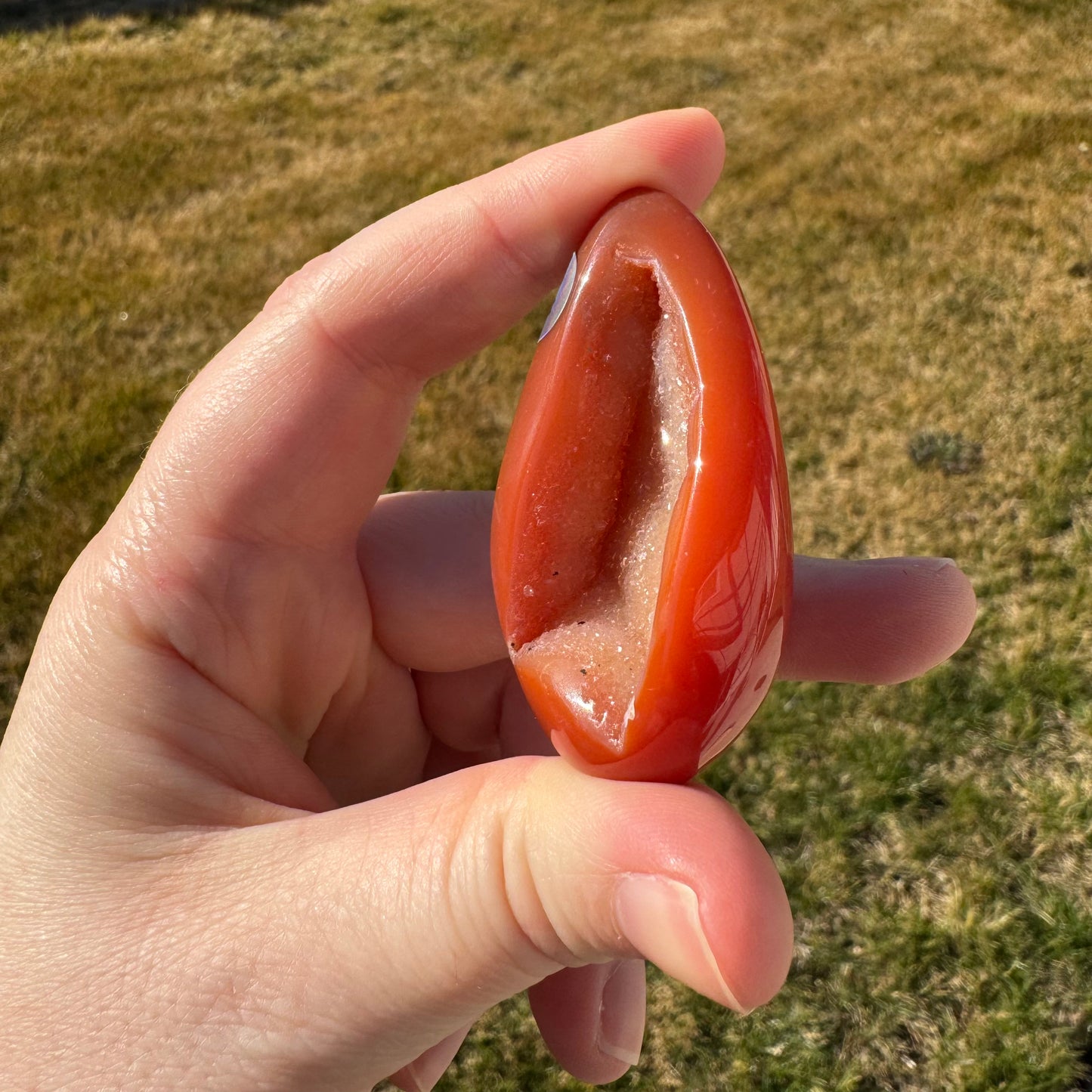 Druzy Banded Carnelian Egg Care Package - Opt. 4