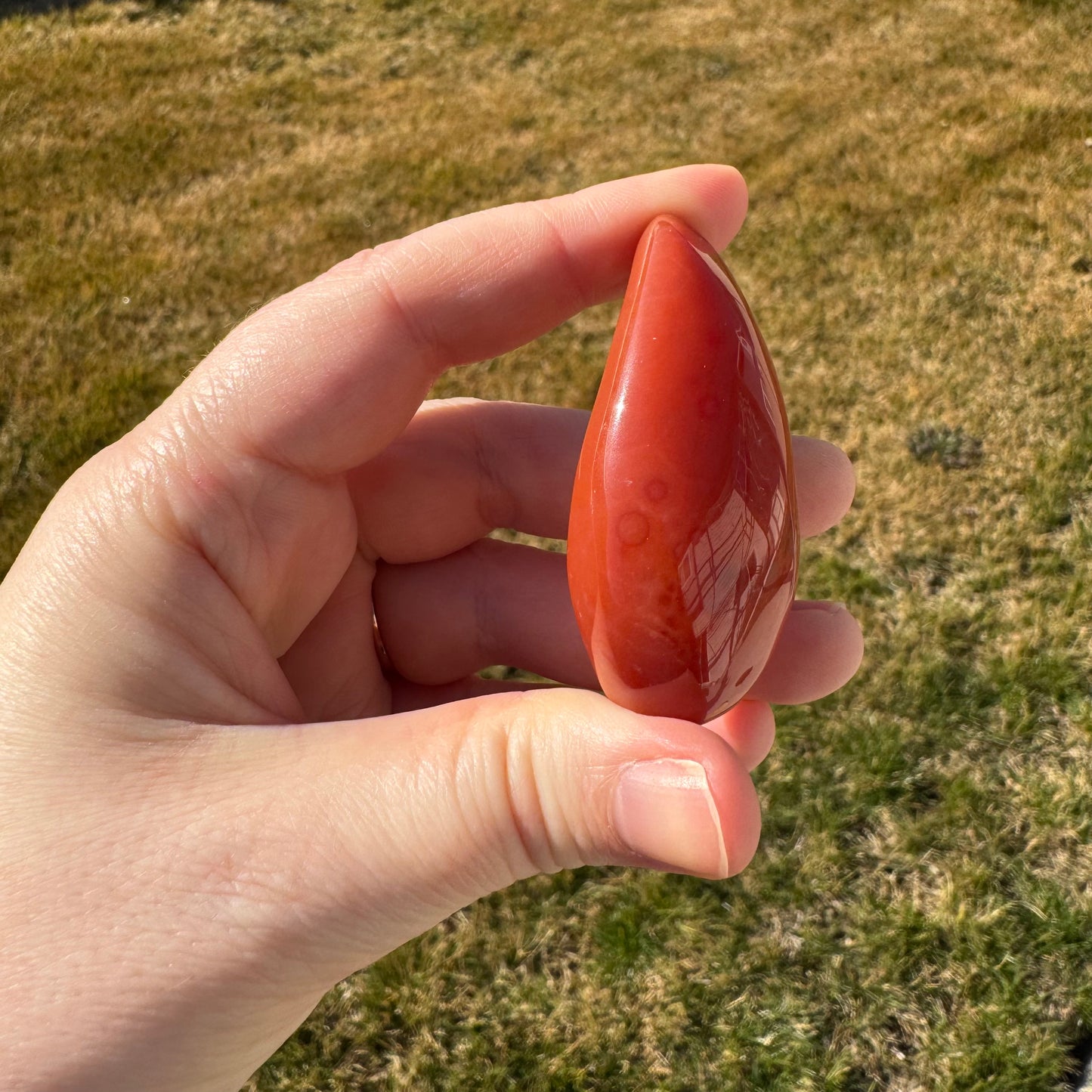 Druzy Banded Carnelian Egg Care Package - Opt. 4