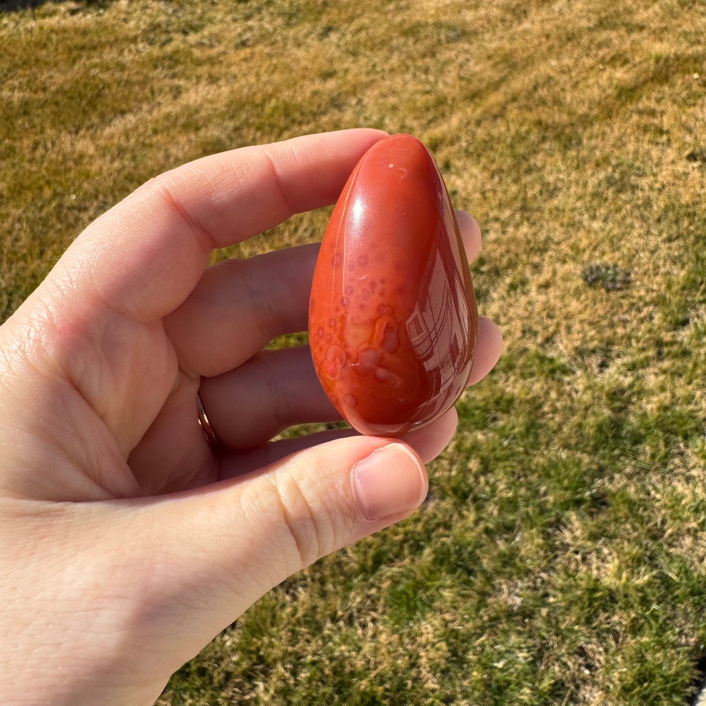 Druzy Banded Carnelian Egg Care Package - Opt. 4