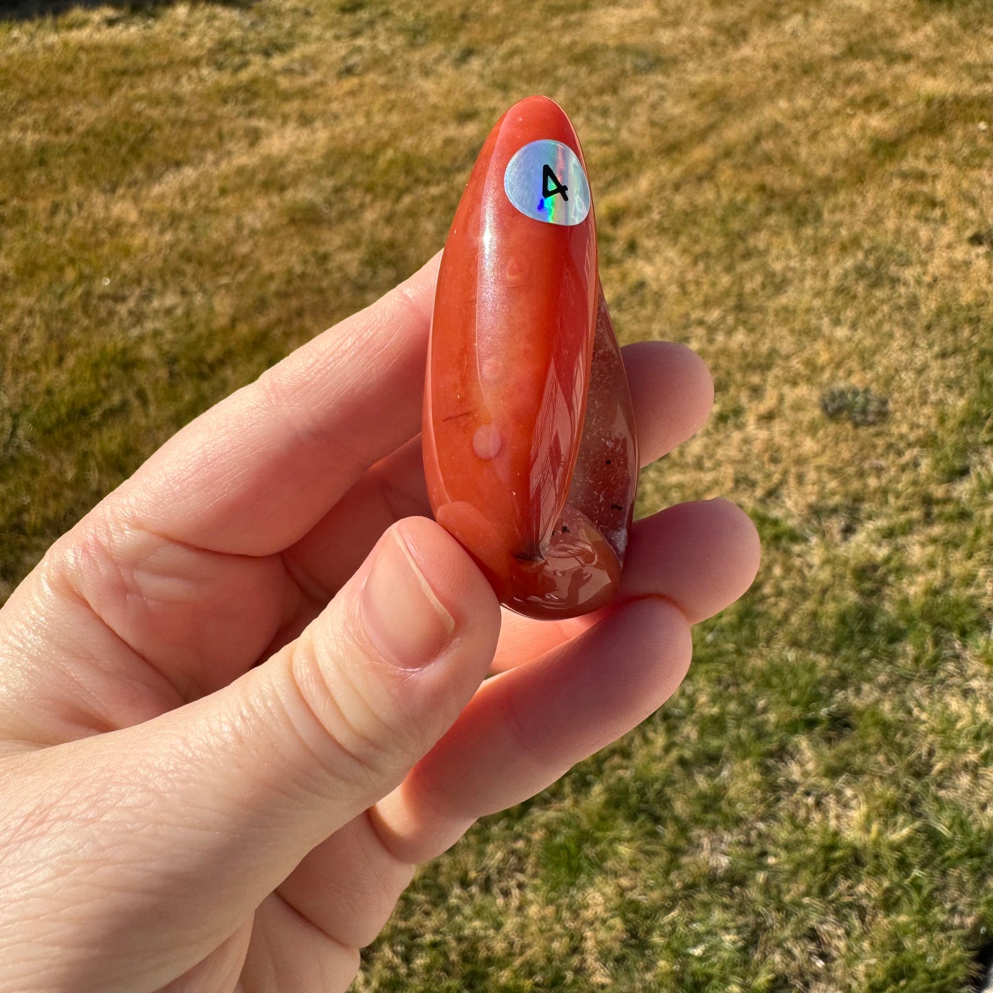 Druzy Banded Carnelian Egg Care Package - Opt. 4