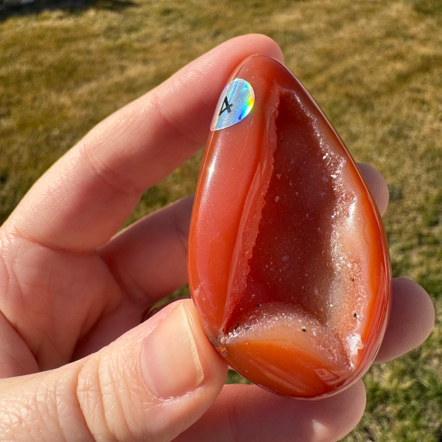 Druzy Banded Carnelian Egg Care Package - Opt. 4