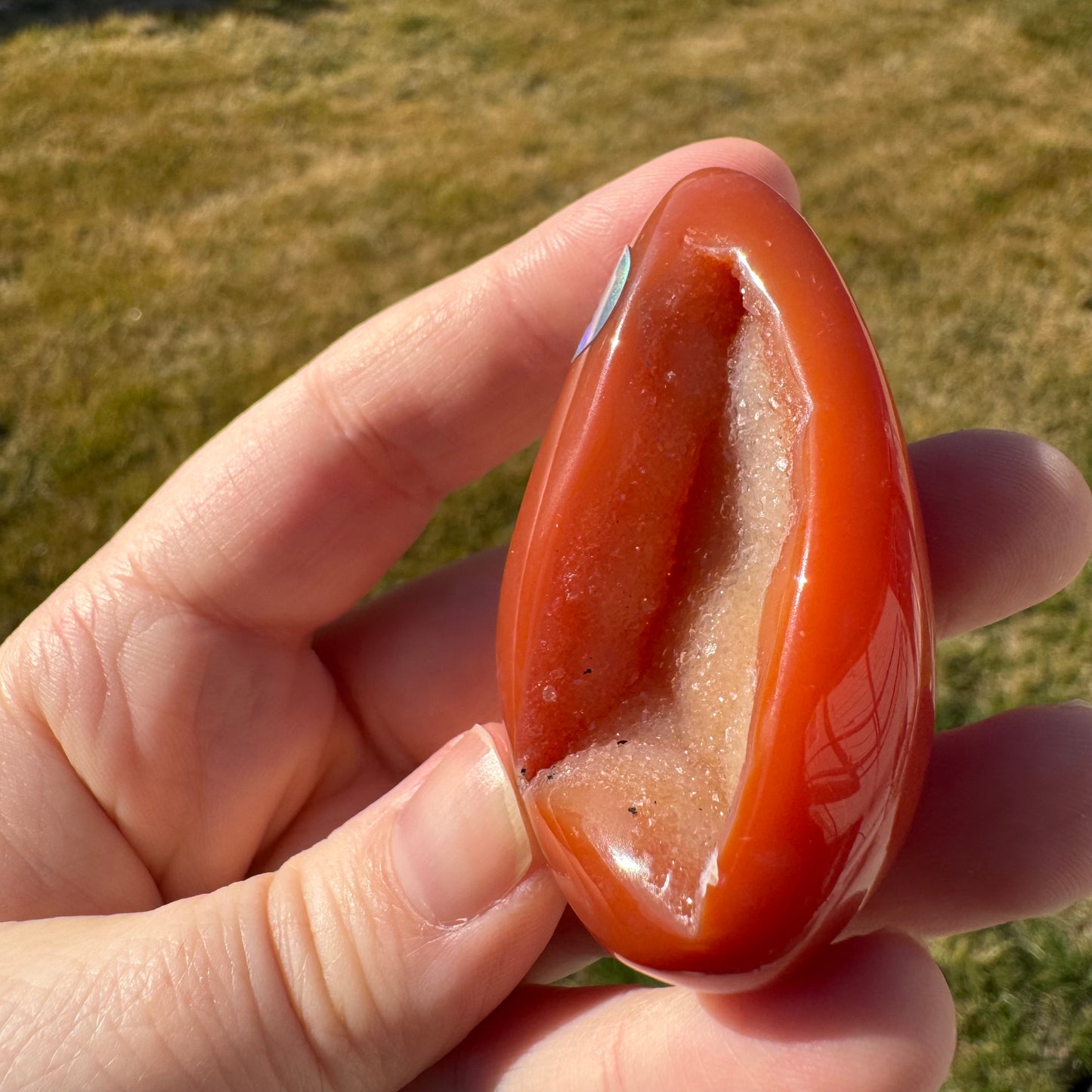 Druzy Banded Carnelian Egg Care Package - Opt. 4
