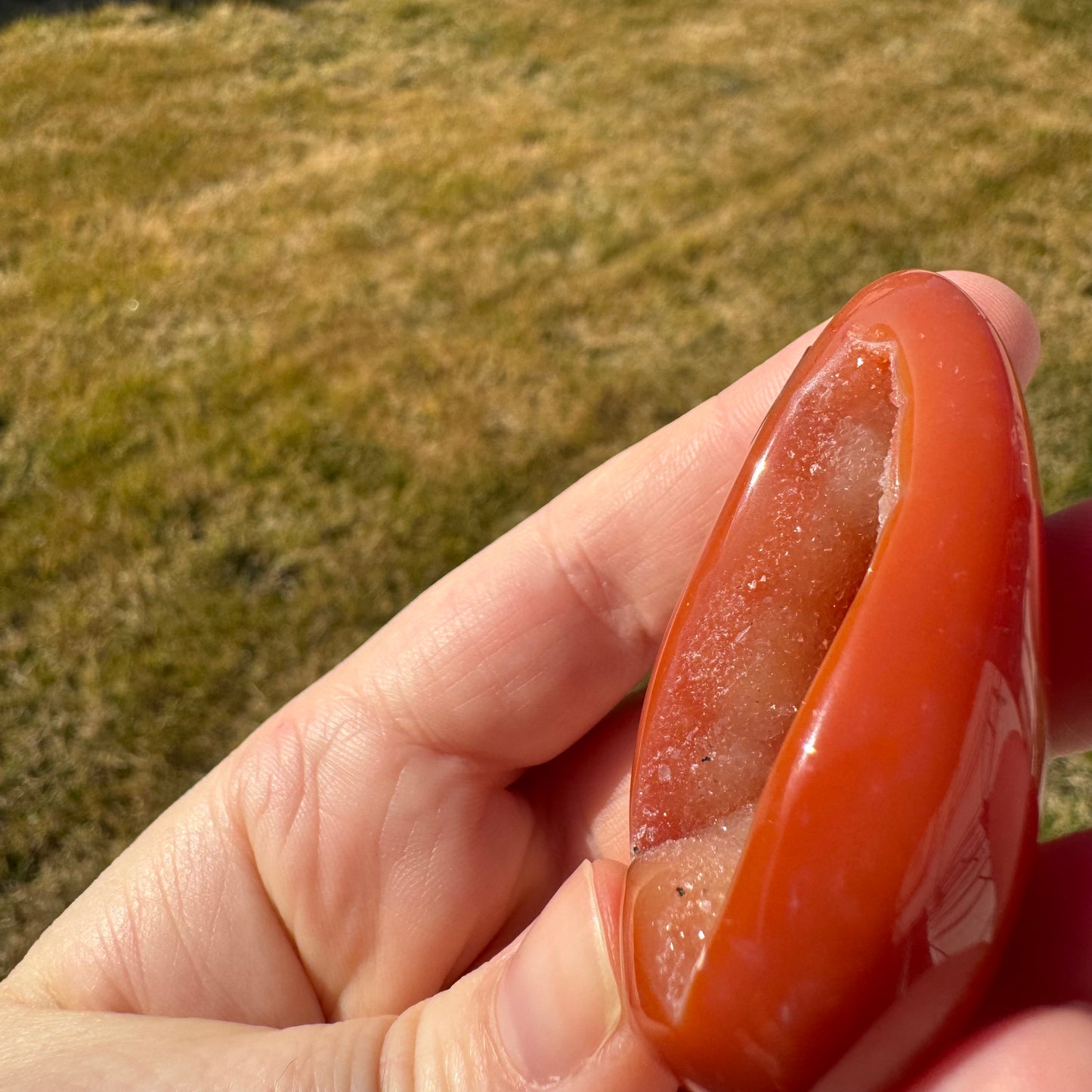 Druzy Banded Carnelian Egg Care Package - Opt. 4