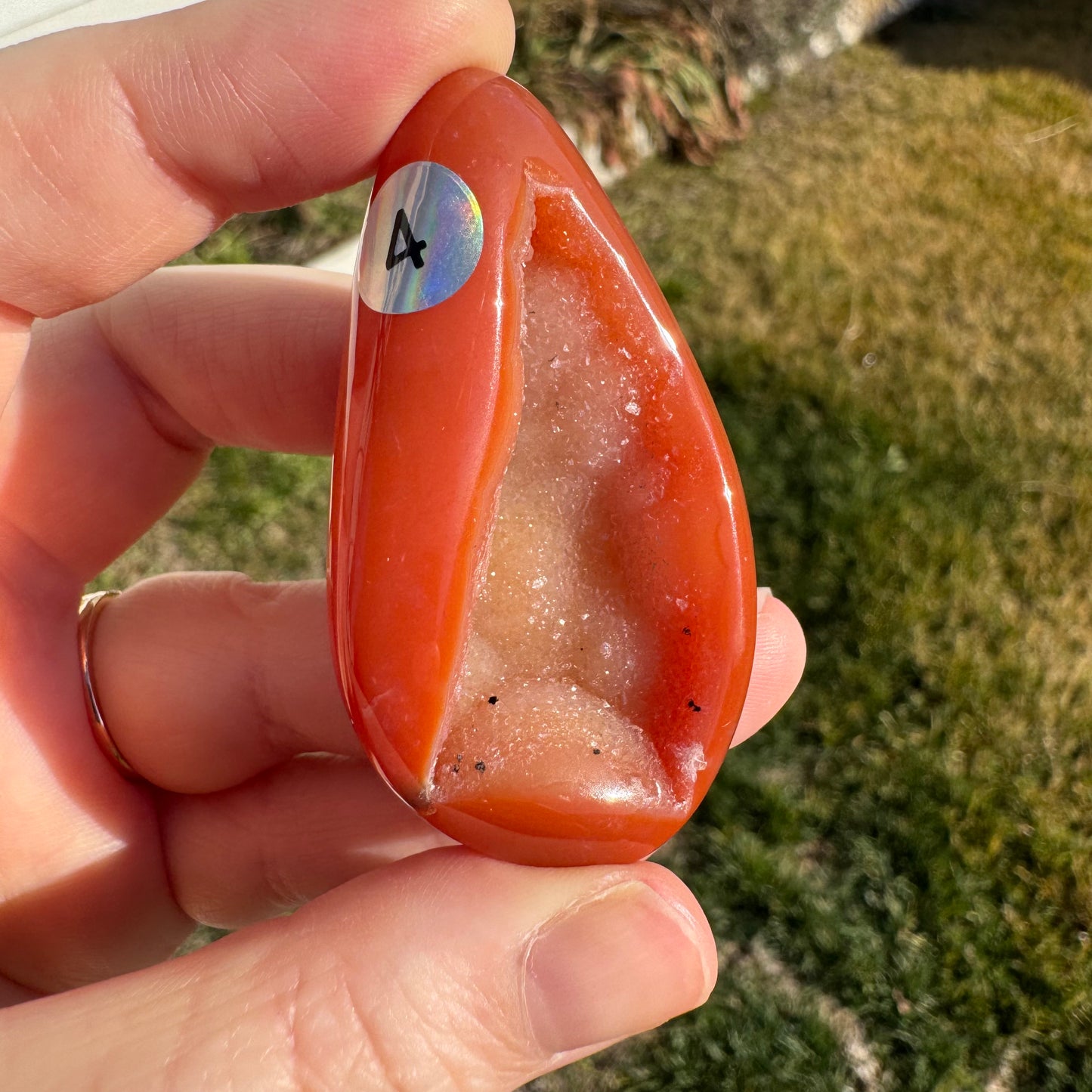 Druzy Banded Carnelian Egg Care Package - Opt. 4