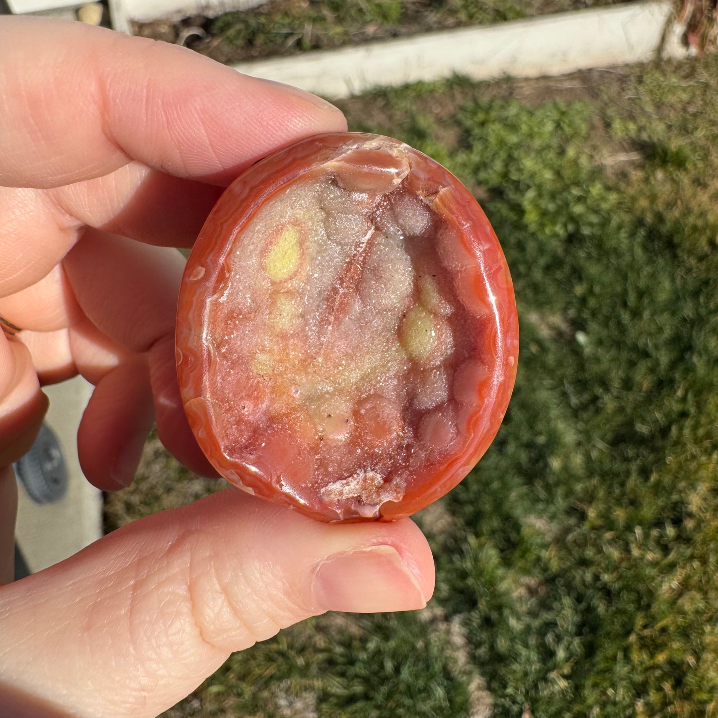 Druzy Banded Carnelian Egg Care Package - Opt. 2