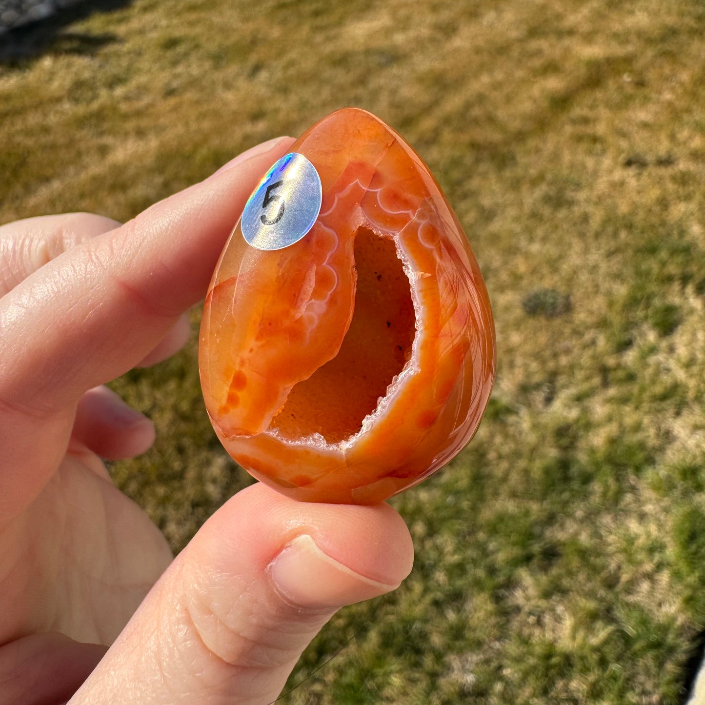 Druzy Banded Carnelian Egg Care Package - Opt. 5