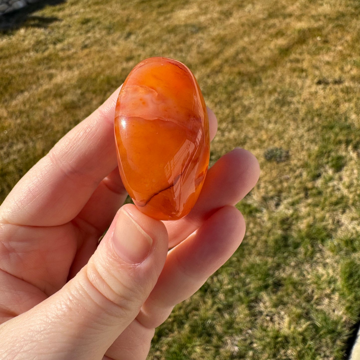 Druzy Banded Carnelian Egg Care Package - Opt. 5