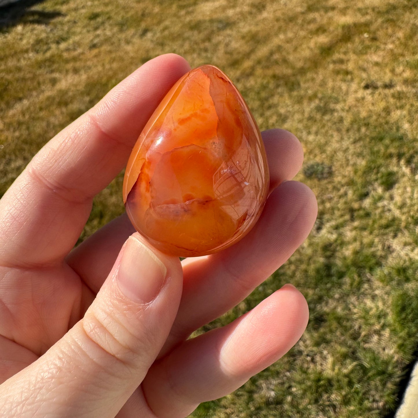 Druzy Banded Carnelian Egg Care Package - Opt. 5