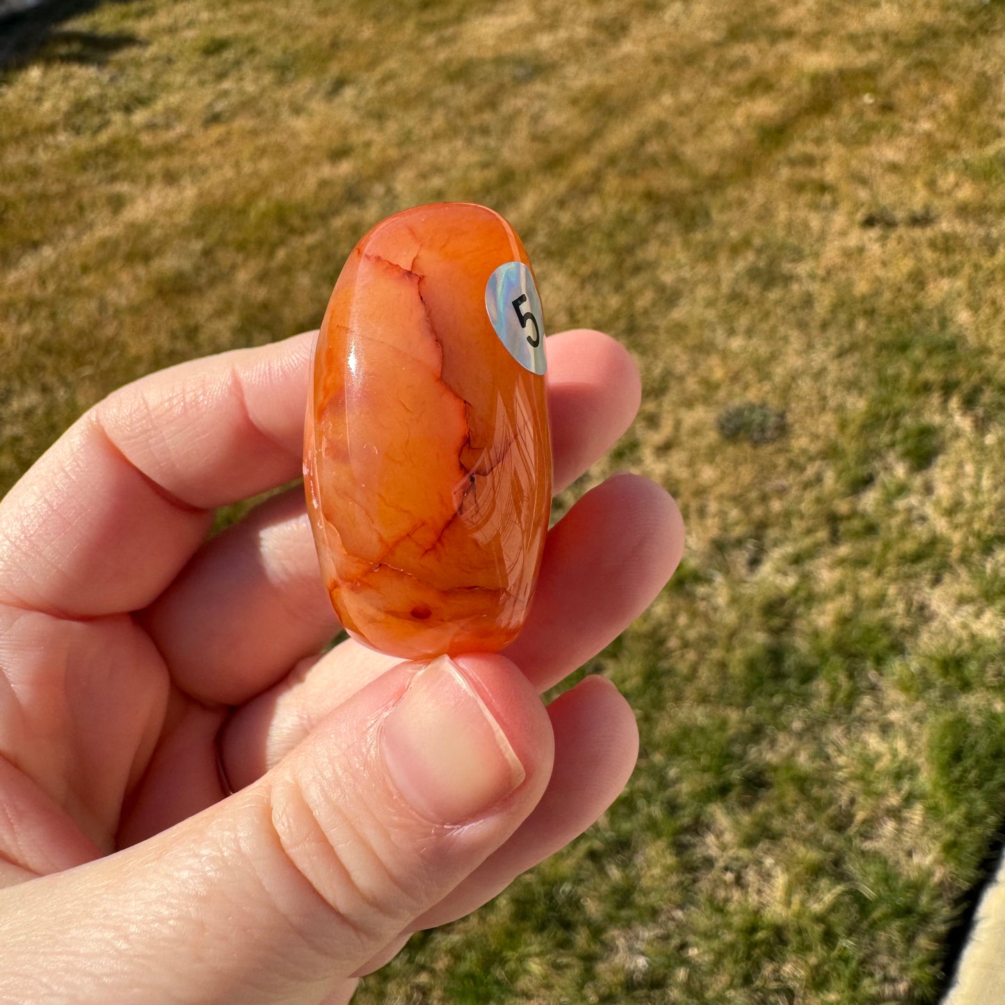 Druzy Banded Carnelian Egg Care Package - Opt. 5