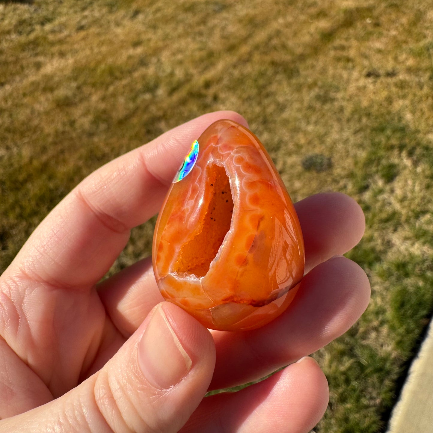 Druzy Banded Carnelian Egg Care Package - Opt. 5