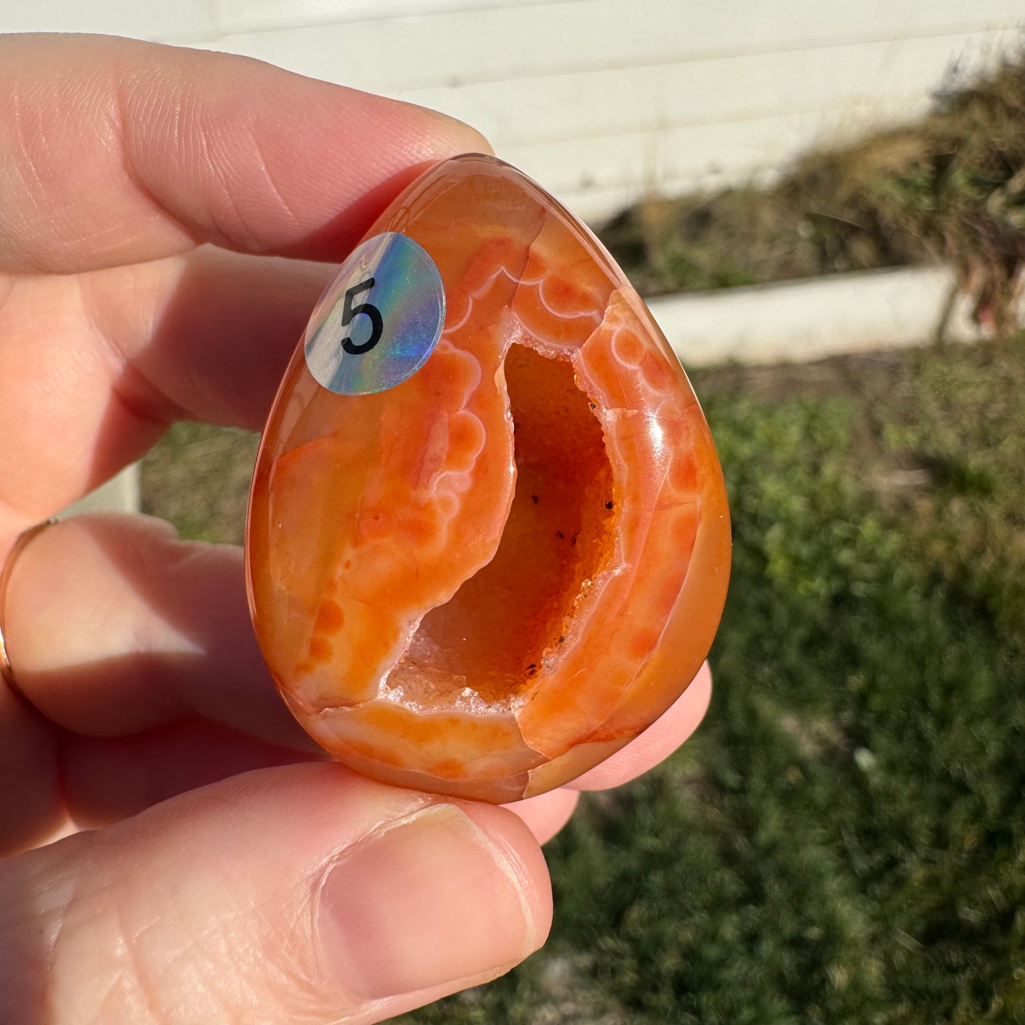Druzy Banded Carnelian Egg Care Package - Opt. 5