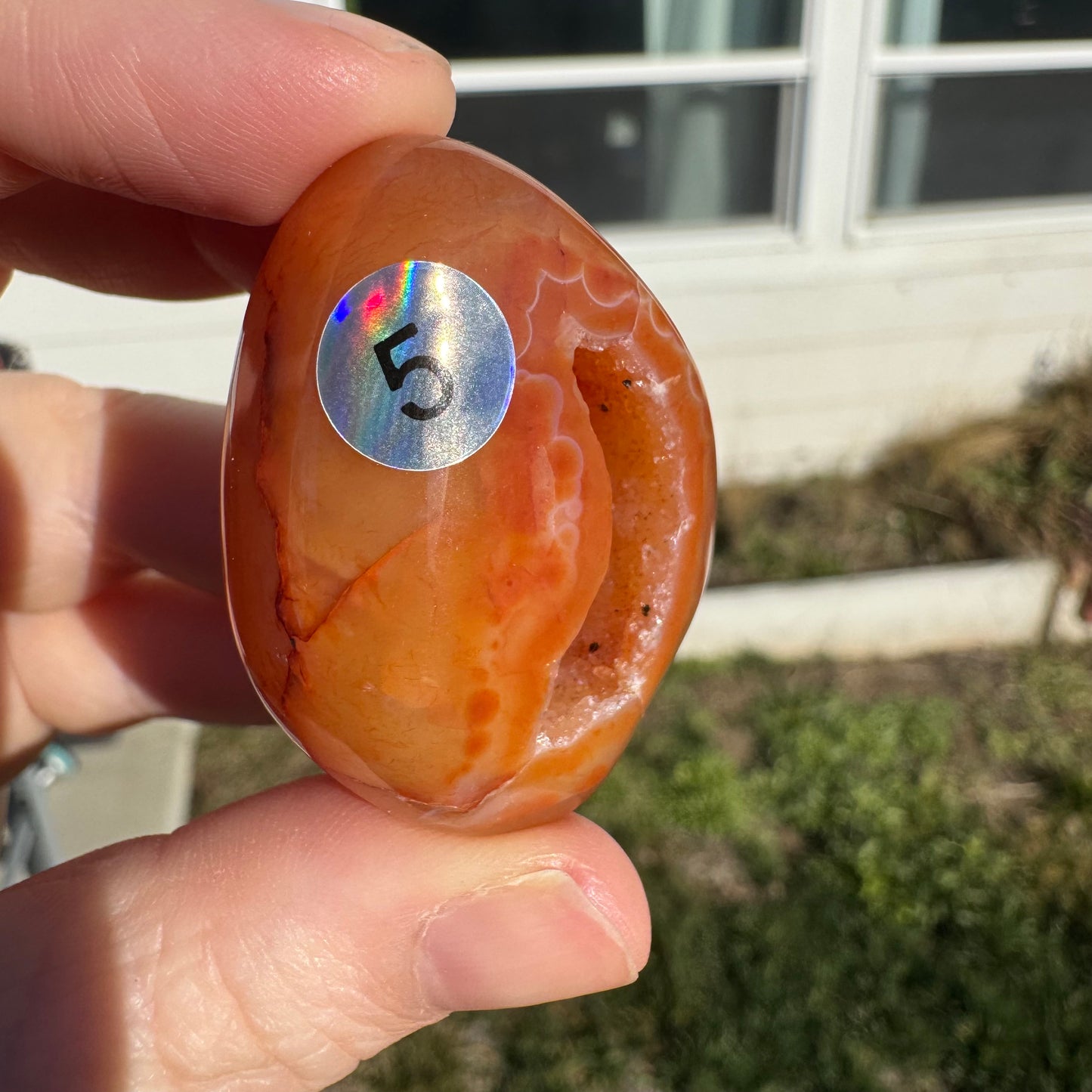 Druzy Banded Carnelian Egg Care Package - Opt. 5