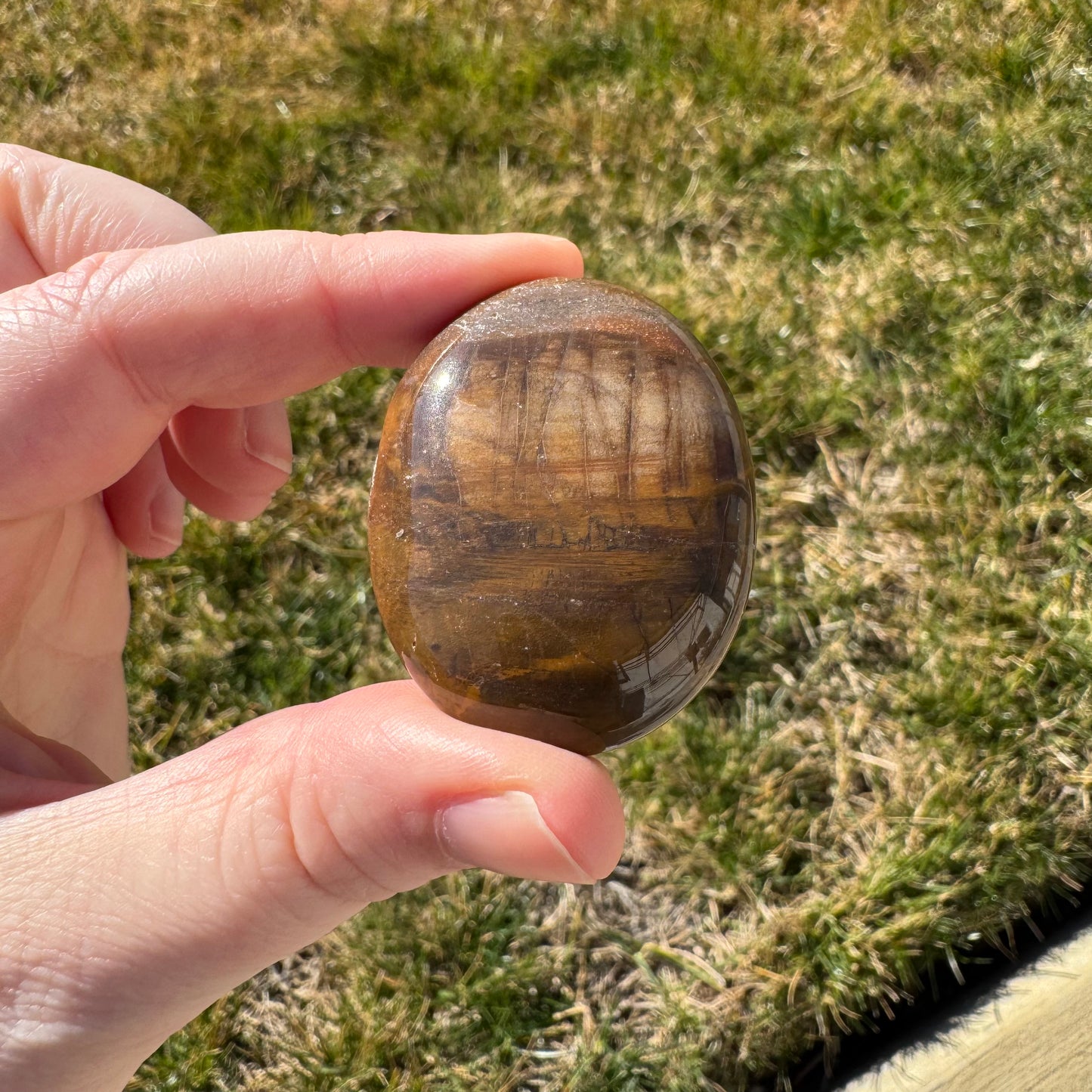 Petrified Wood Palm Stone Pillow (Indonesia)