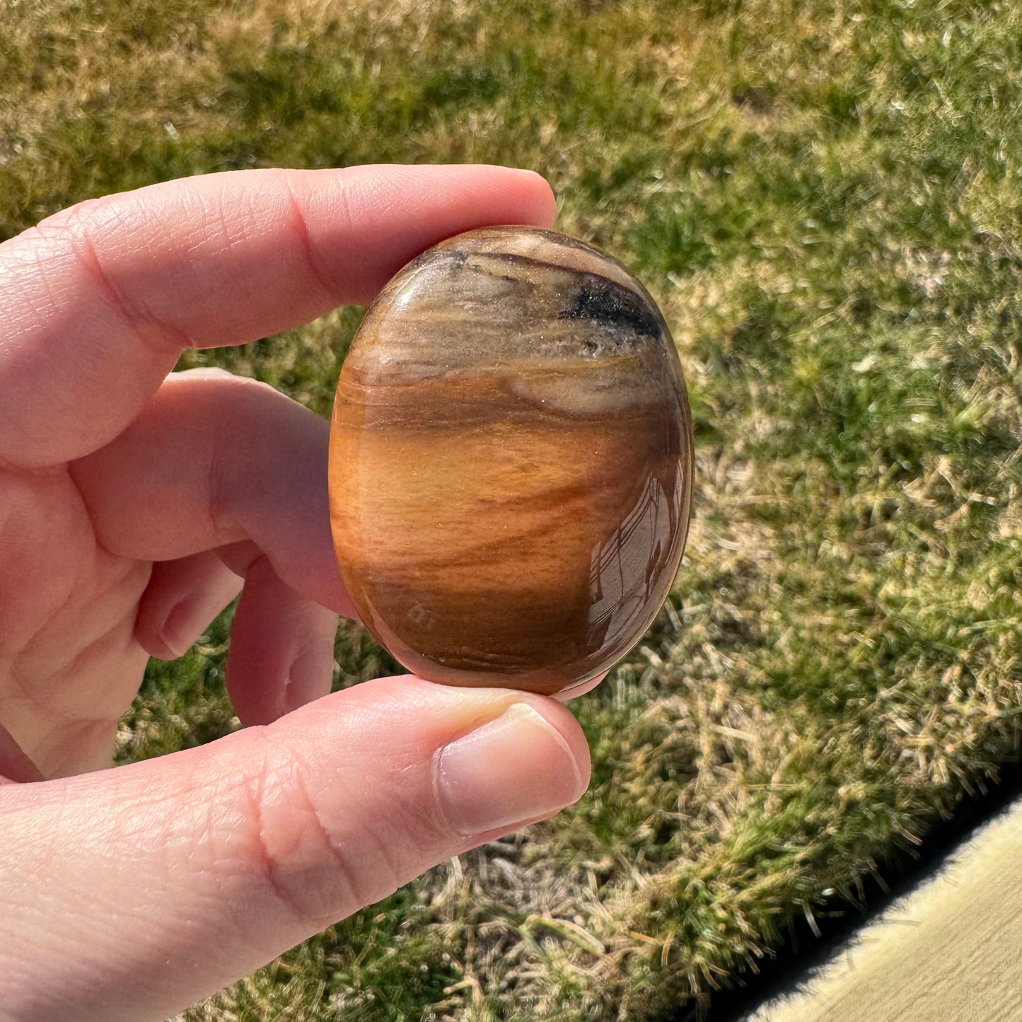 Petrified Wood Palm Stone Pillow (Indonesia)