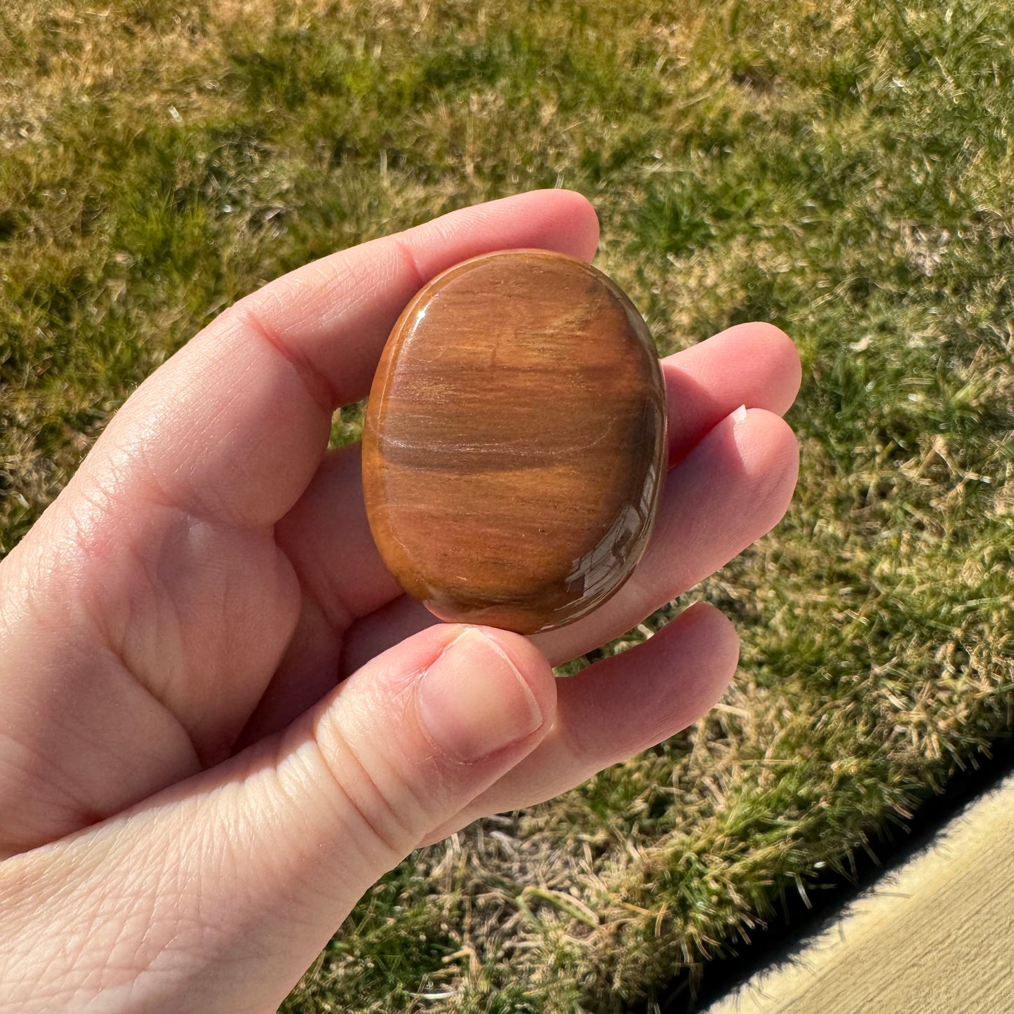 Petrified Wood Palm Stone Pillow (Indonesia)