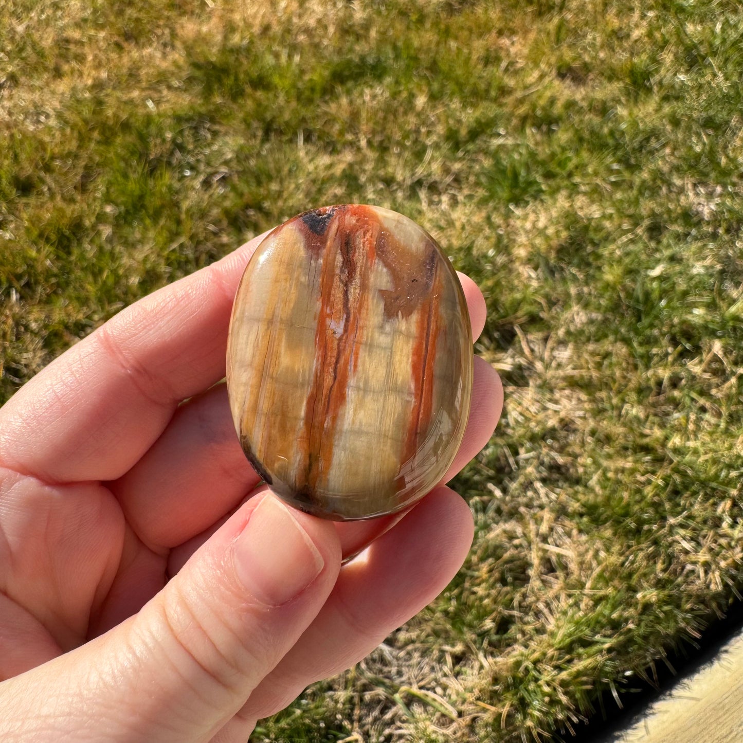 Petrified Wood Palm Stone Pillow (Indonesia)