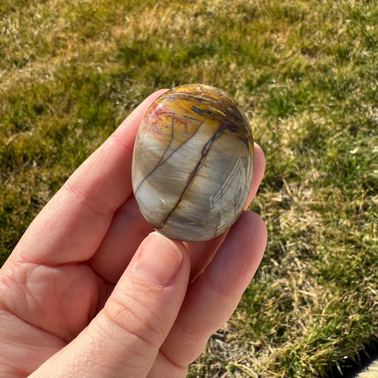 Petrified Wood Palm Stone Pillow (Indonesia)