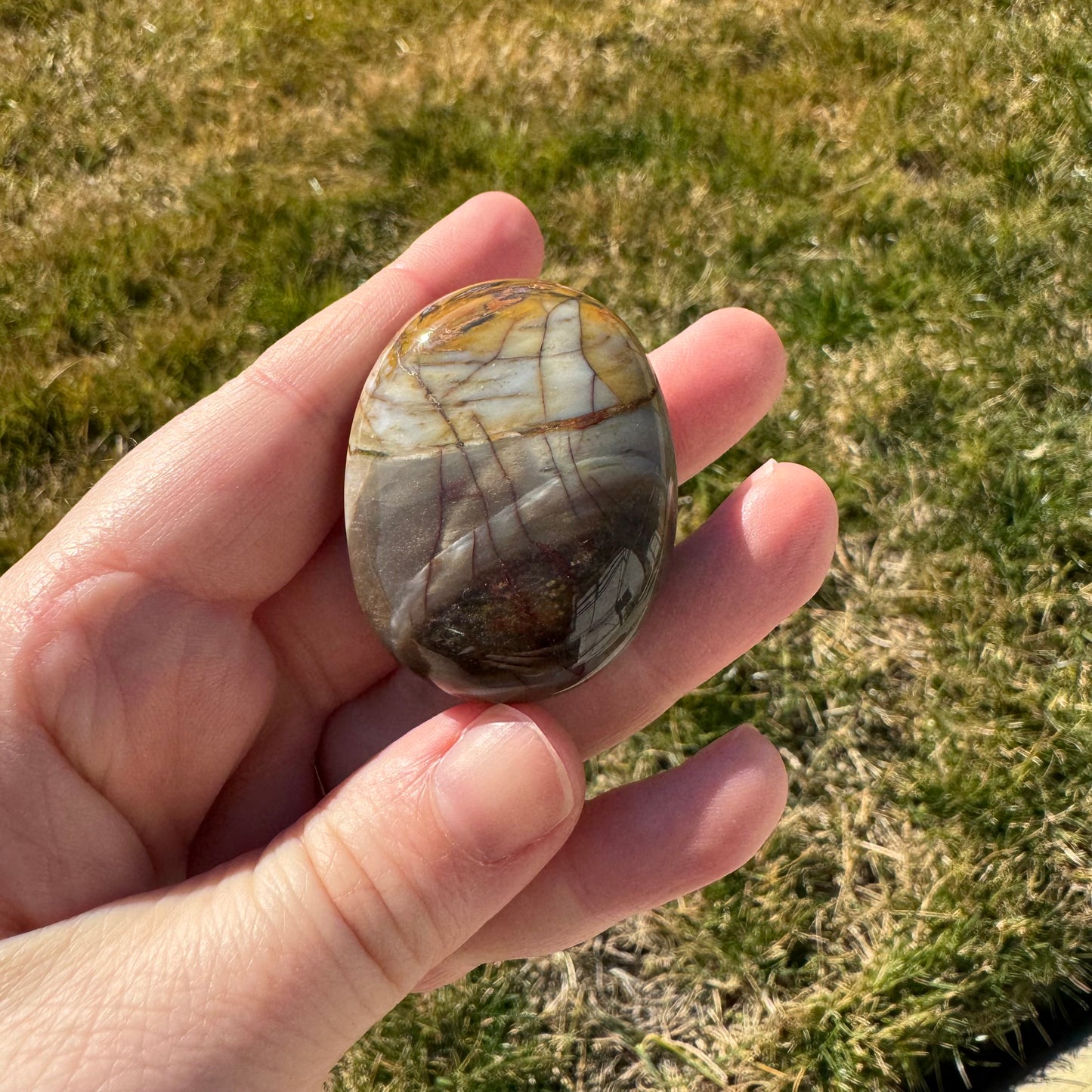 Petrified Wood Palm Stone Pillow (Indonesia)