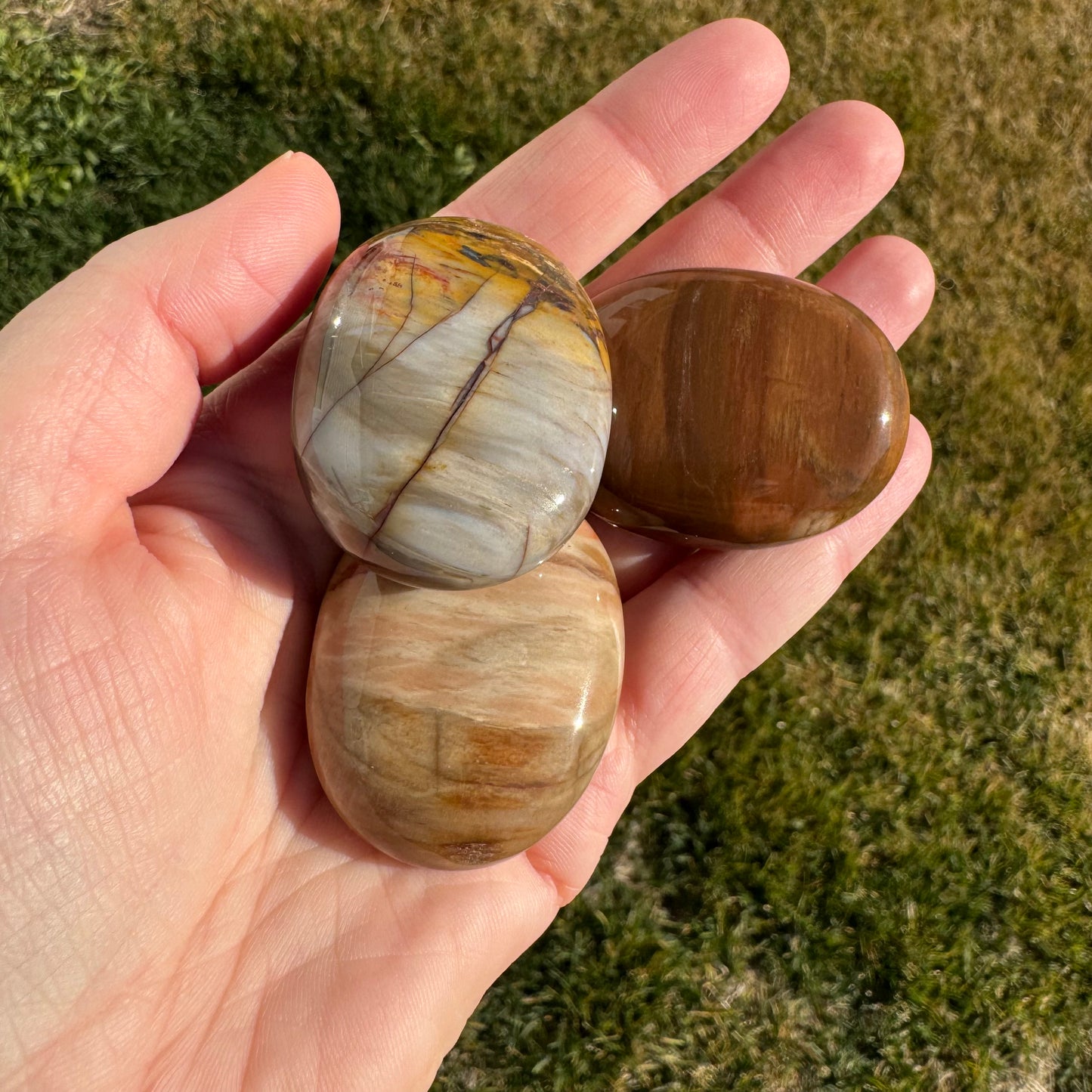 Petrified Wood Palm Stone Pillow (Indonesia)