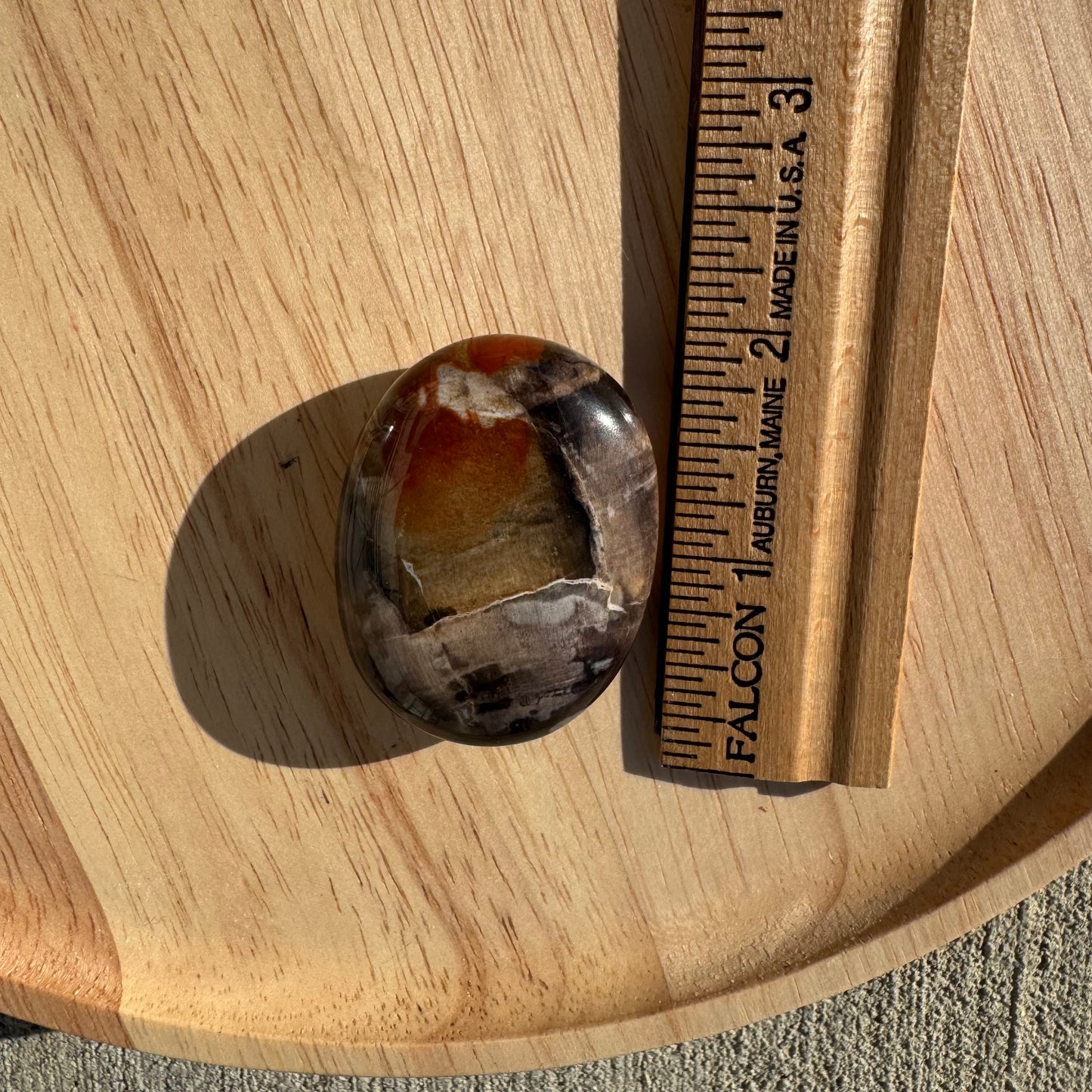 Petrified Wood Palm Stone Pillow (Indonesia)