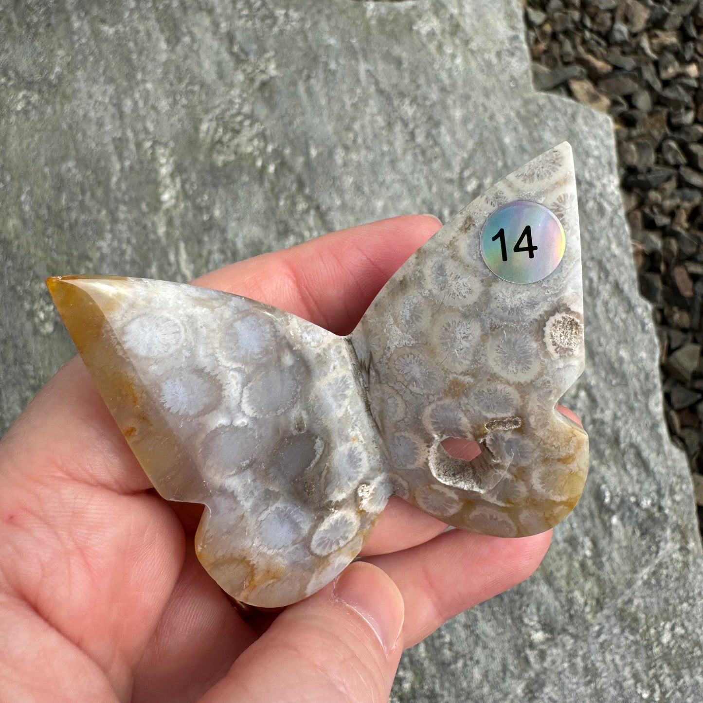 Carved Butterfly Fossil Romantasy Gift Set